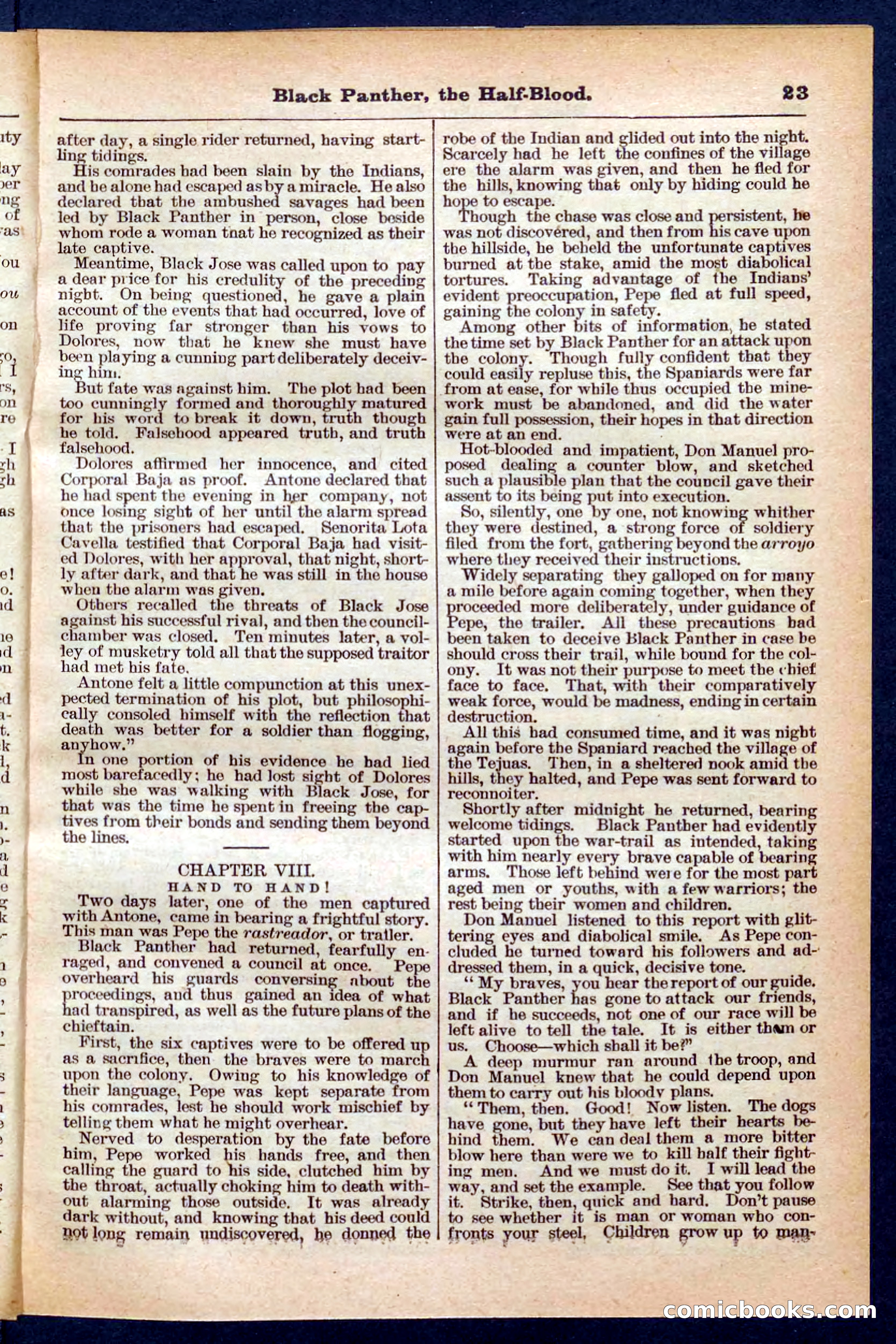 Beadle's Pocket Library No. 446 — page 23 of 32