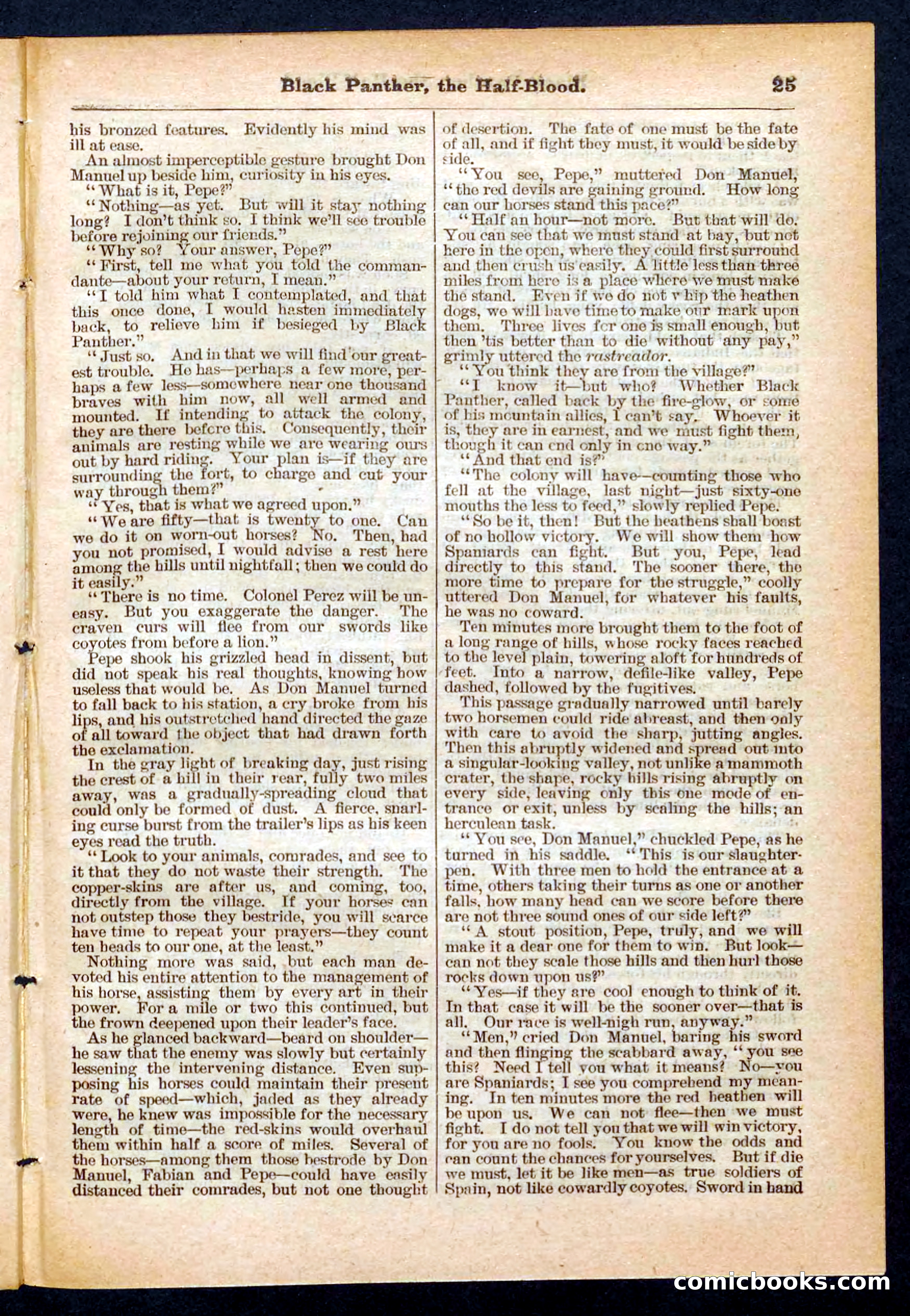 Beadle's Pocket Library No. 446 — page 25 of 32