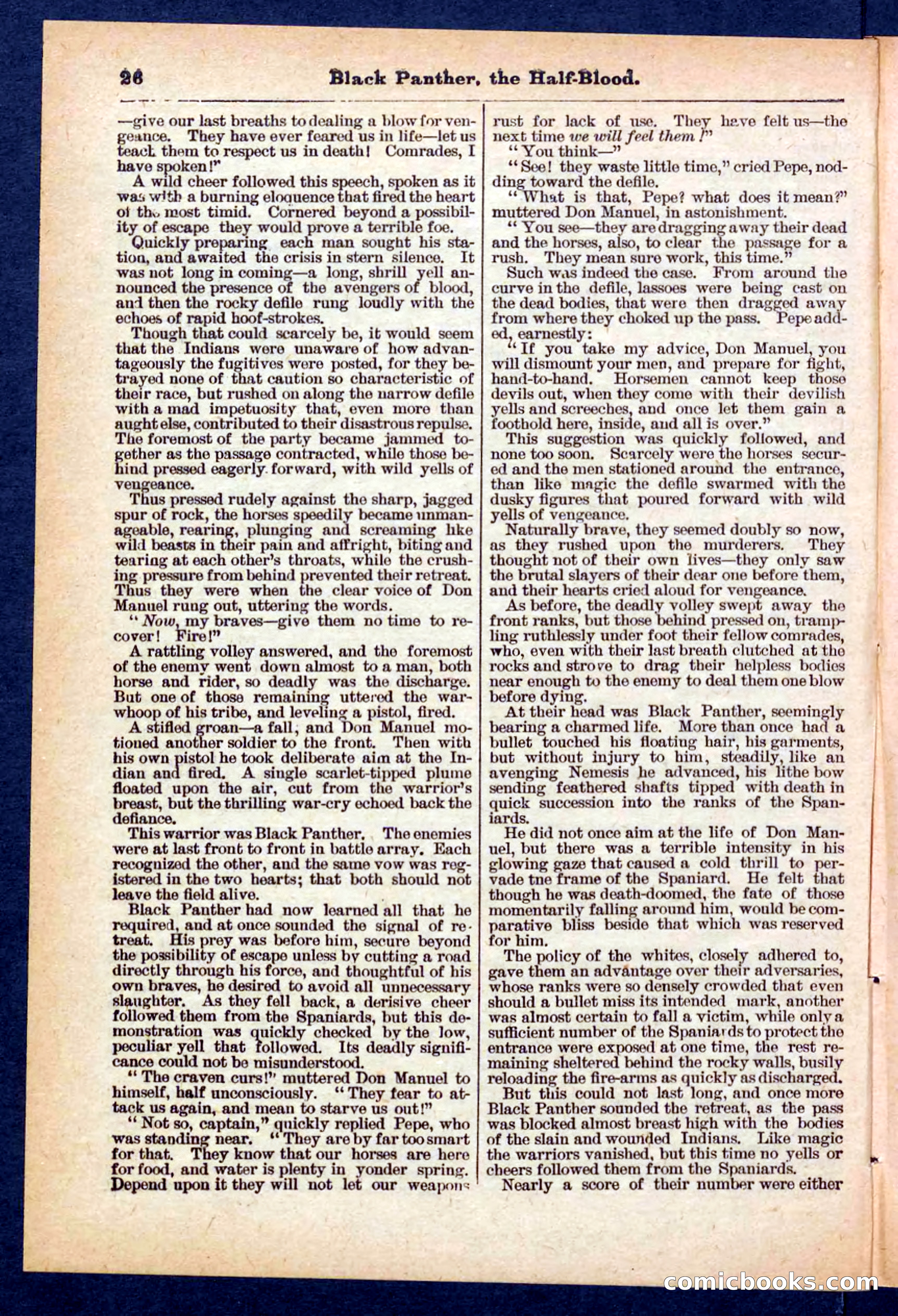Beadle's Pocket Library No. 446 — page 26 of 32