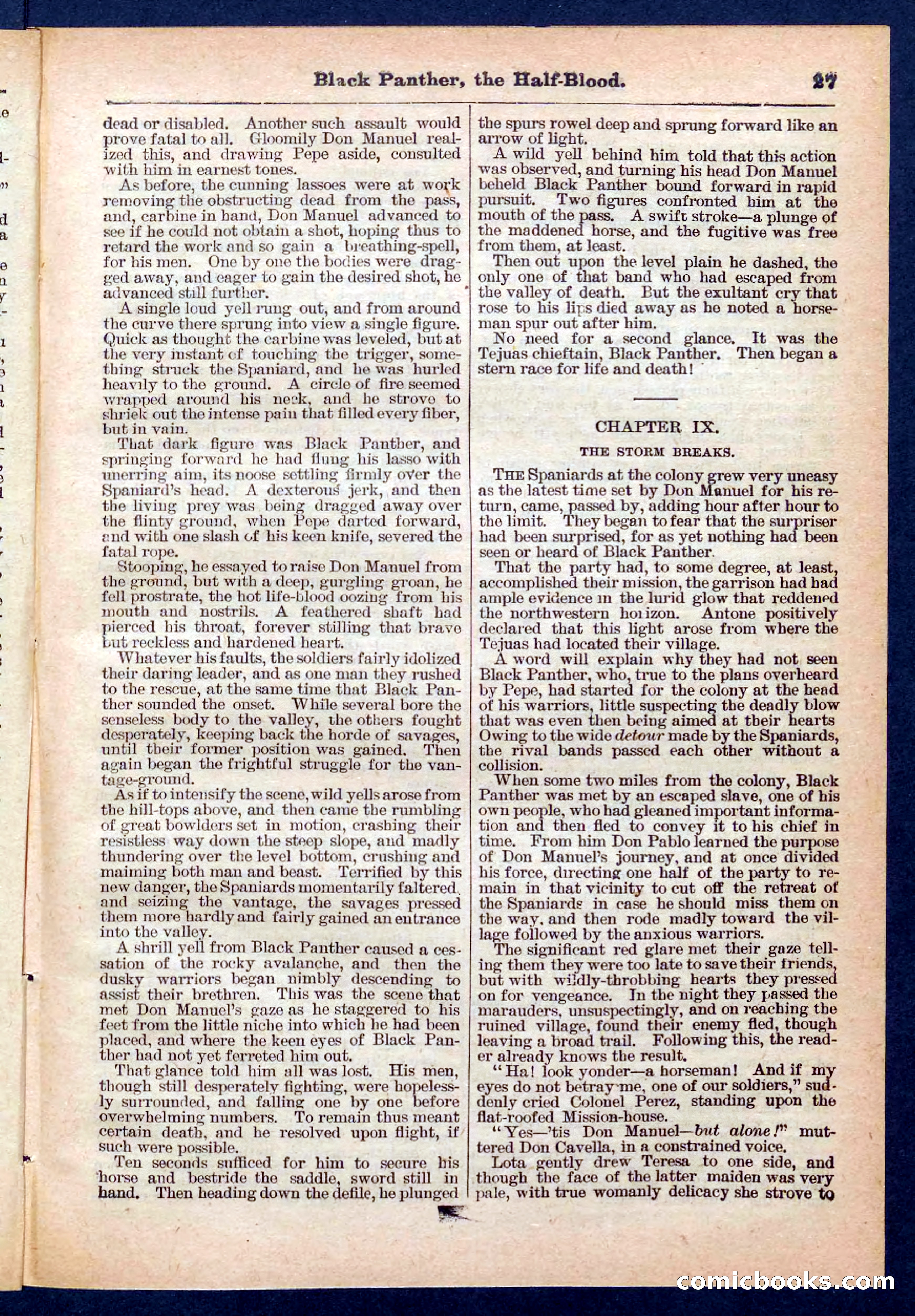 Beadle's Pocket Library No. 446 — page 27 of 32