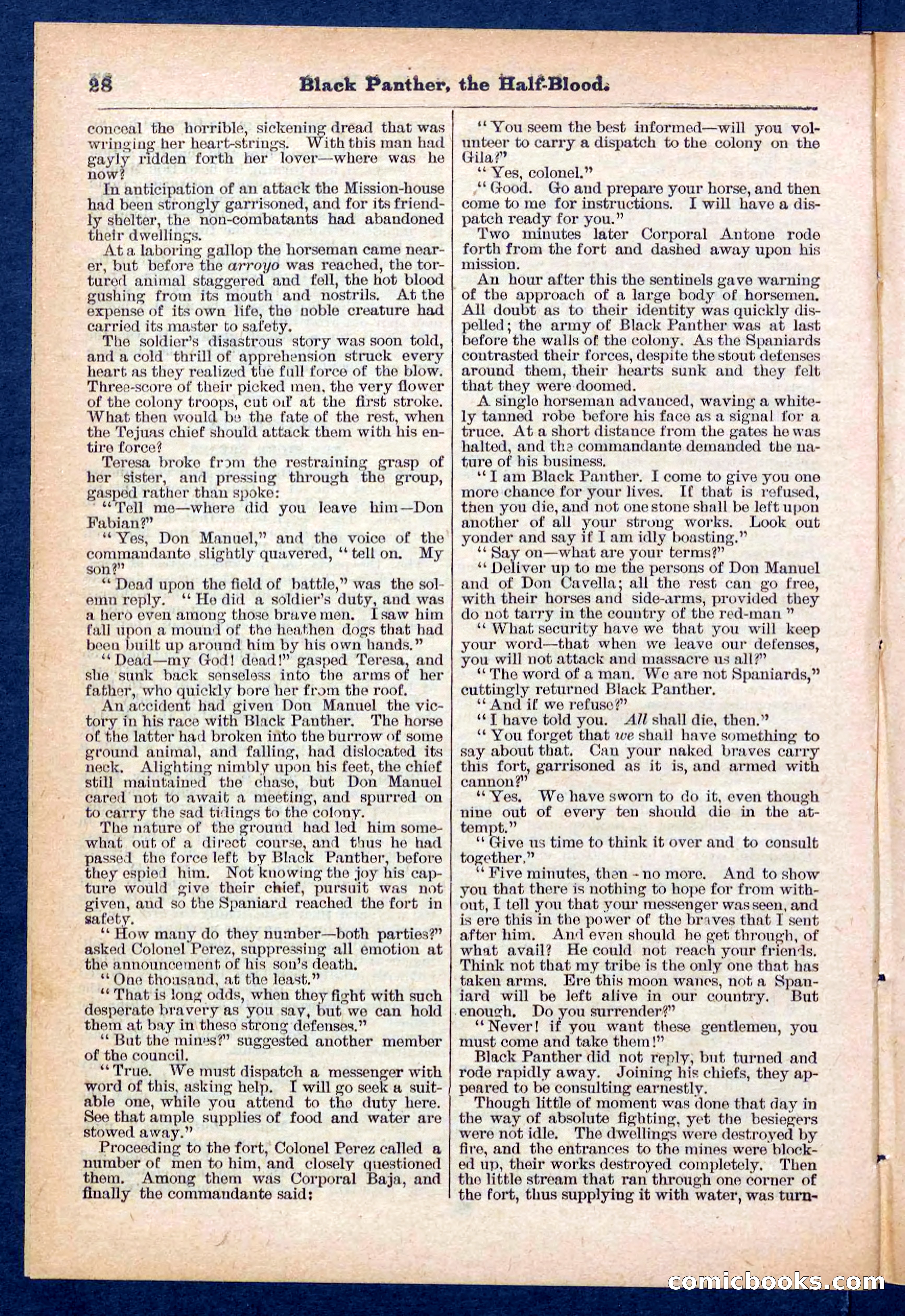 Beadle's Pocket Library No. 446 — page 28 of 32