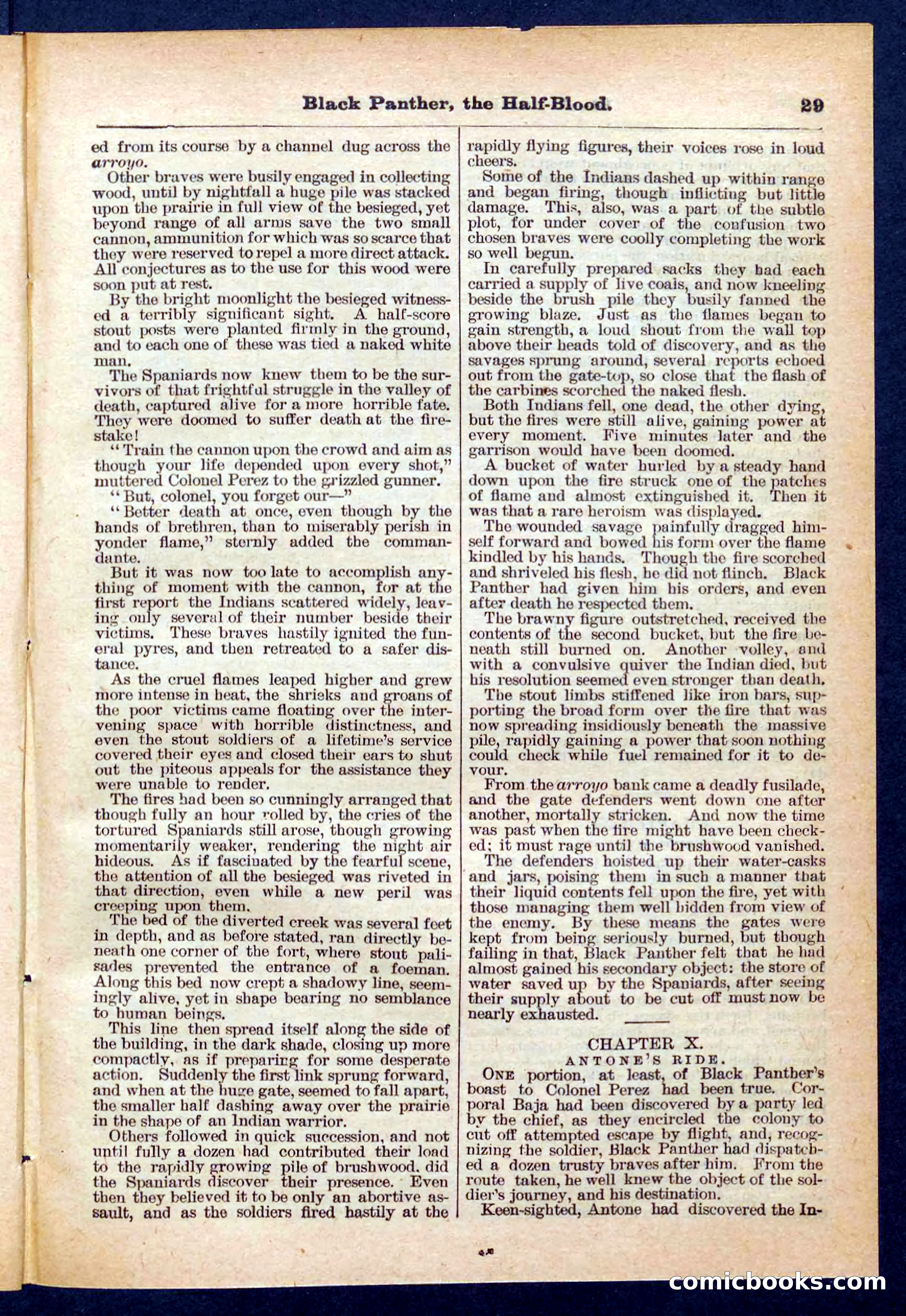Beadle's Pocket Library No. 446 — page 29 of 32