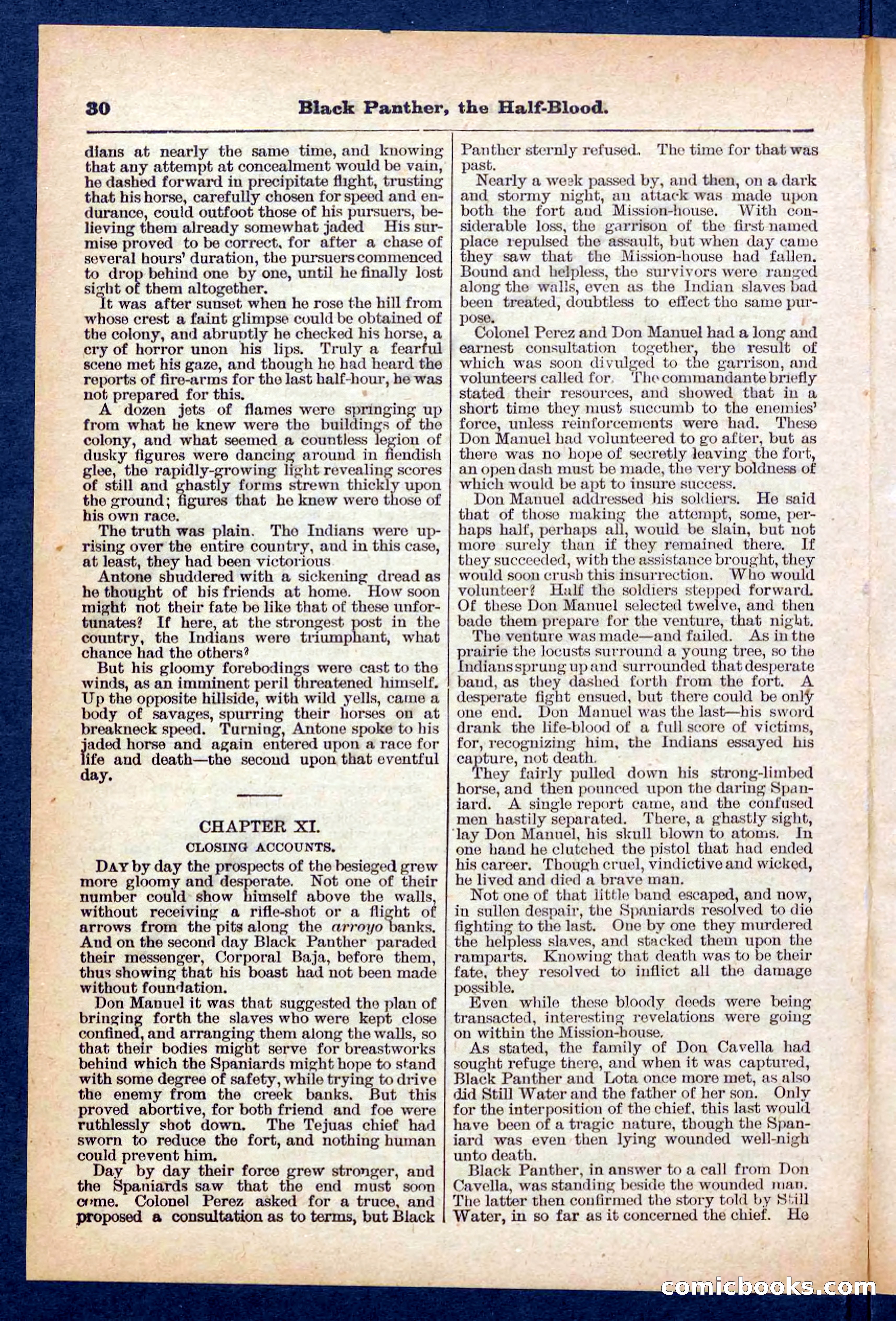 Beadle's Pocket Library No. 446 — page 30 of 32