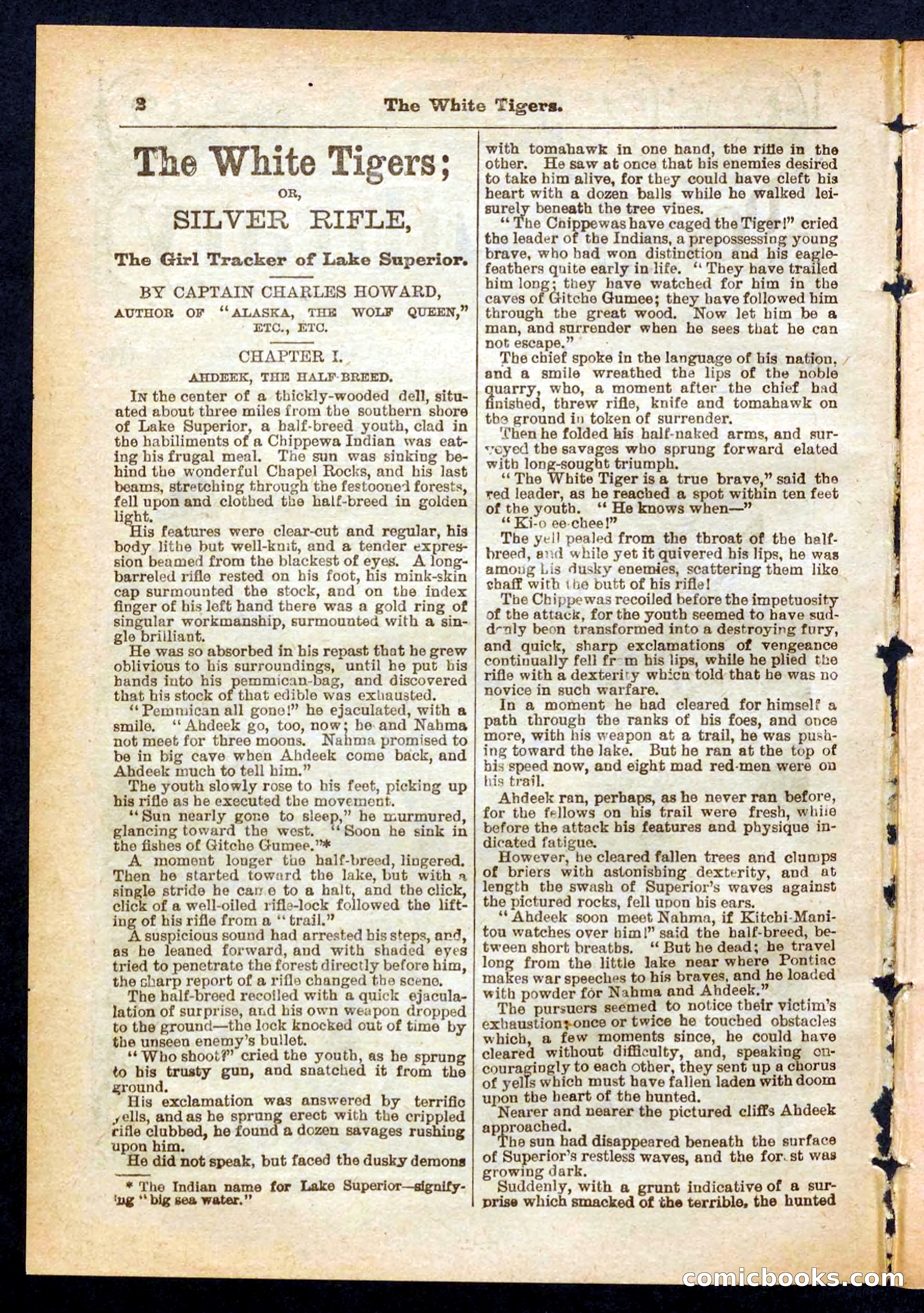 Silver Rifle, the Girl Tracker — page 2 of 32
