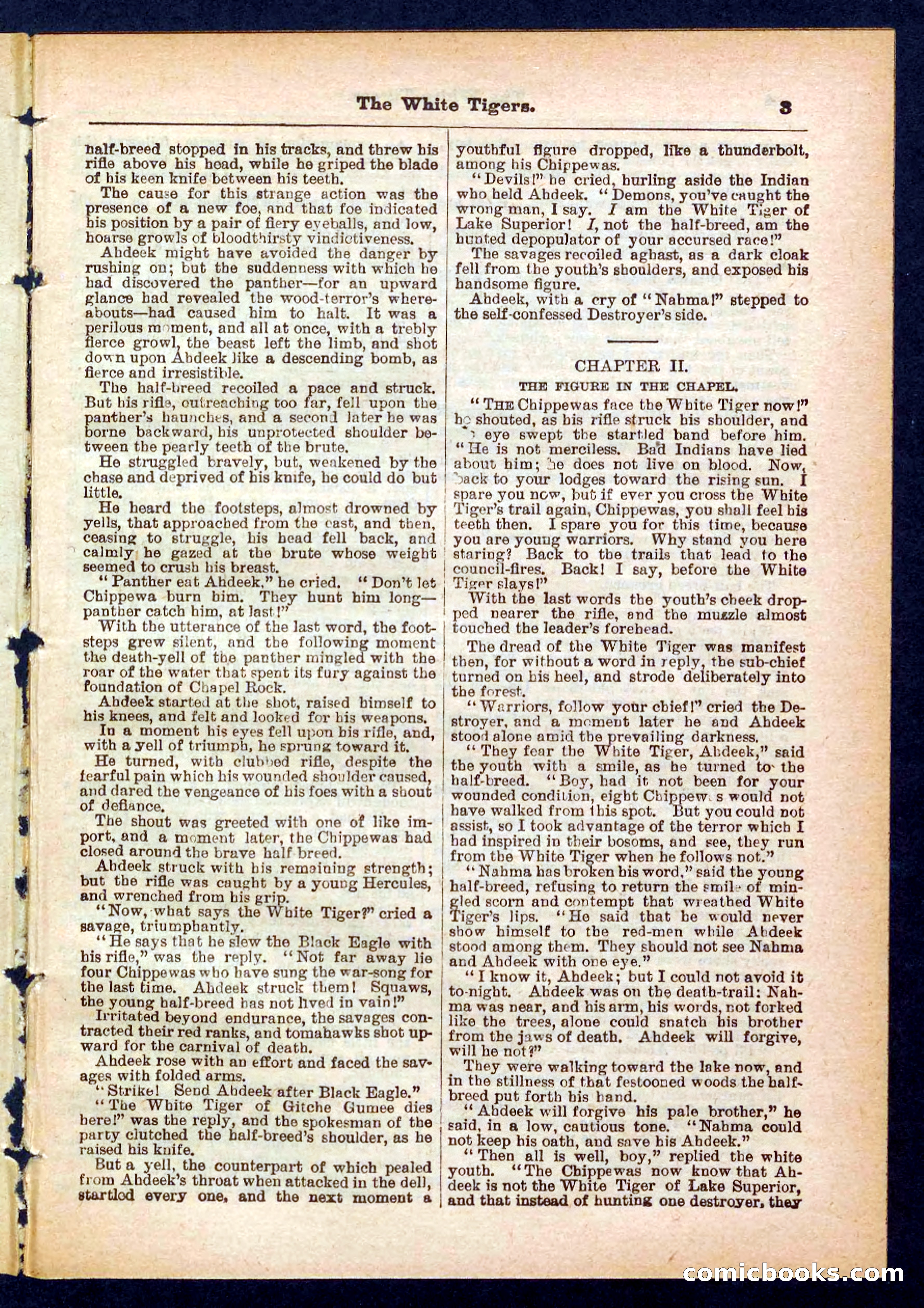Silver Rifle, the Girl Tracker — page 3 of 32