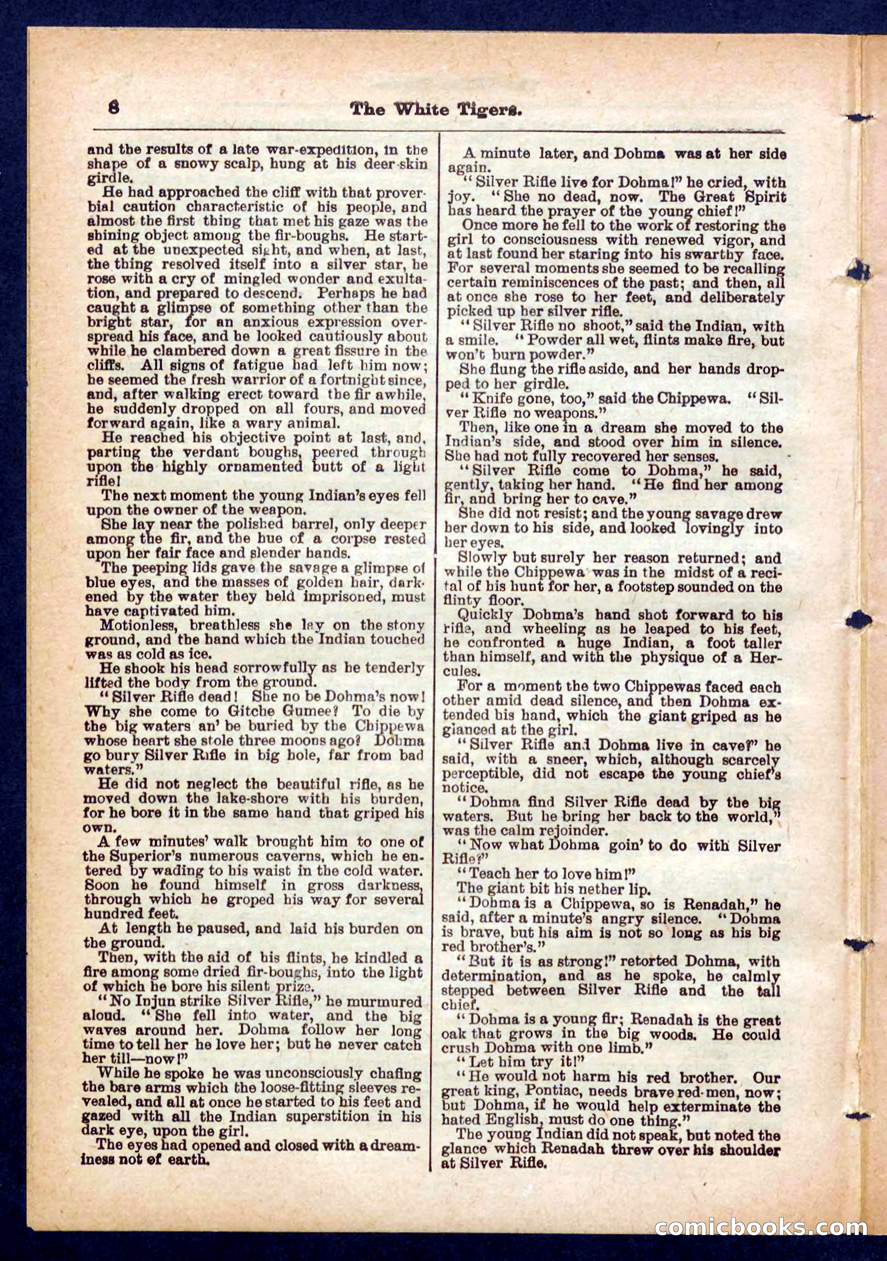 Silver Rifle, the Girl Tracker — page 8 of 32