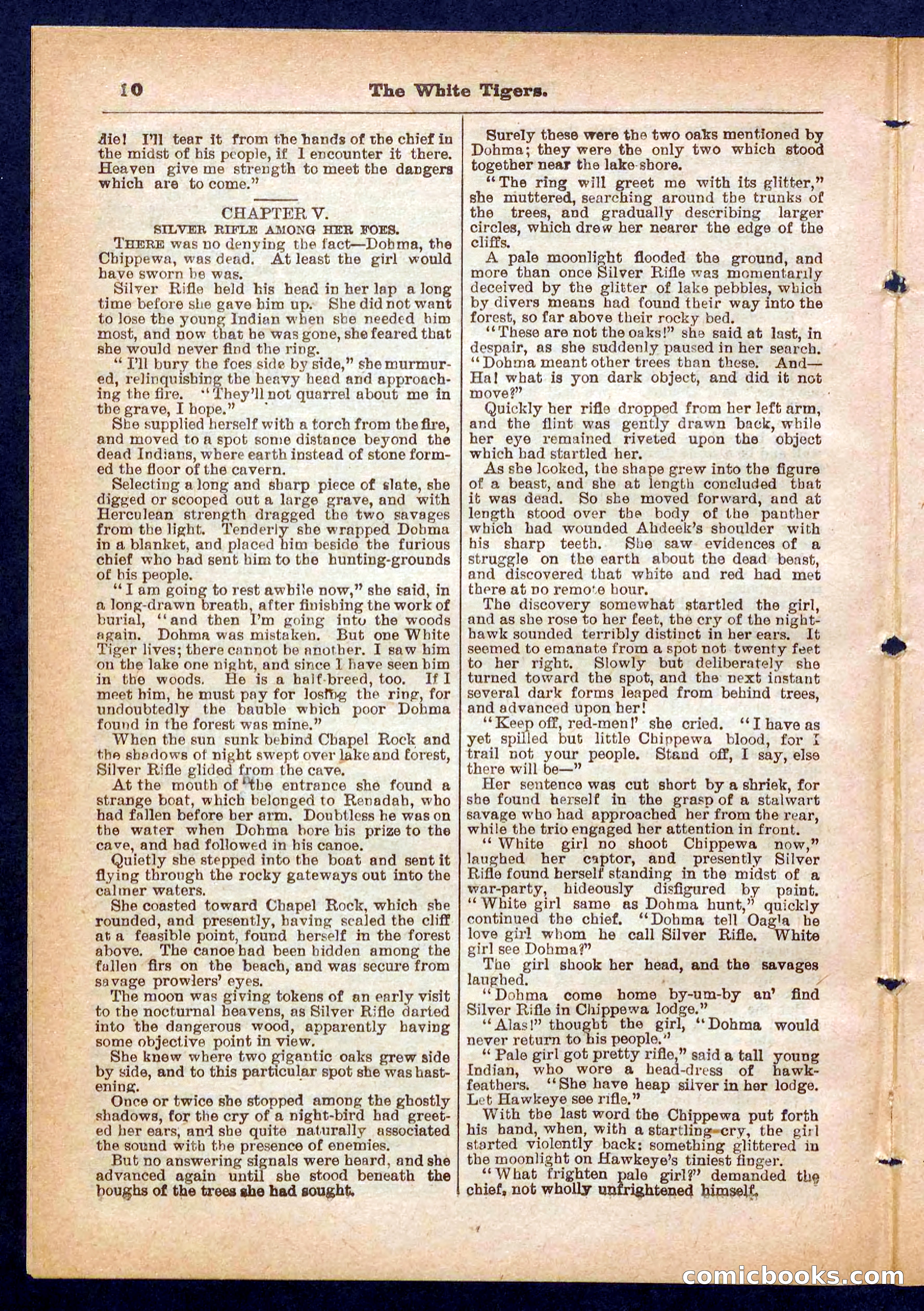 Silver Rifle, the Girl Tracker — page 10 of 32