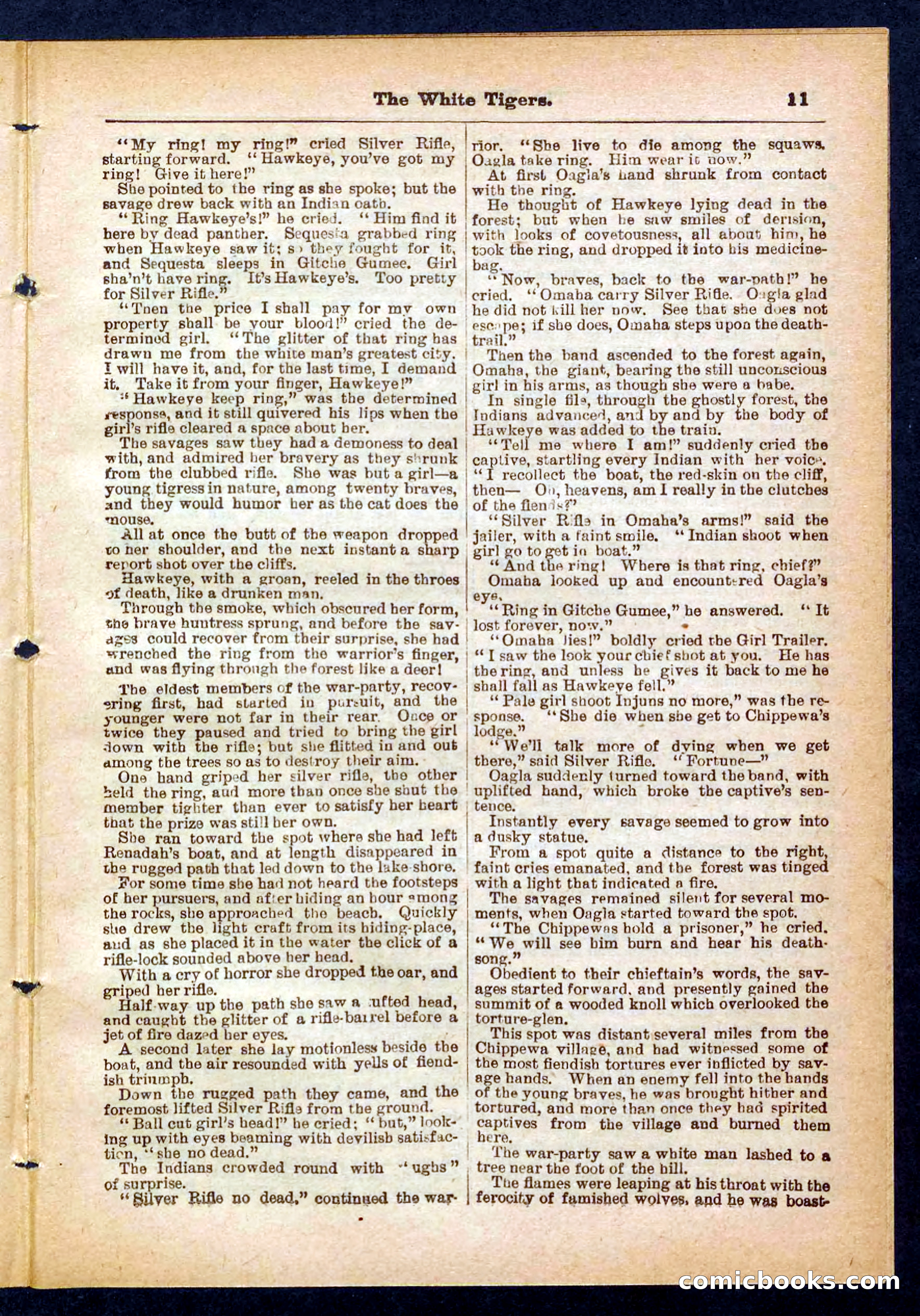 Silver Rifle, the Girl Tracker — page 11 of 32