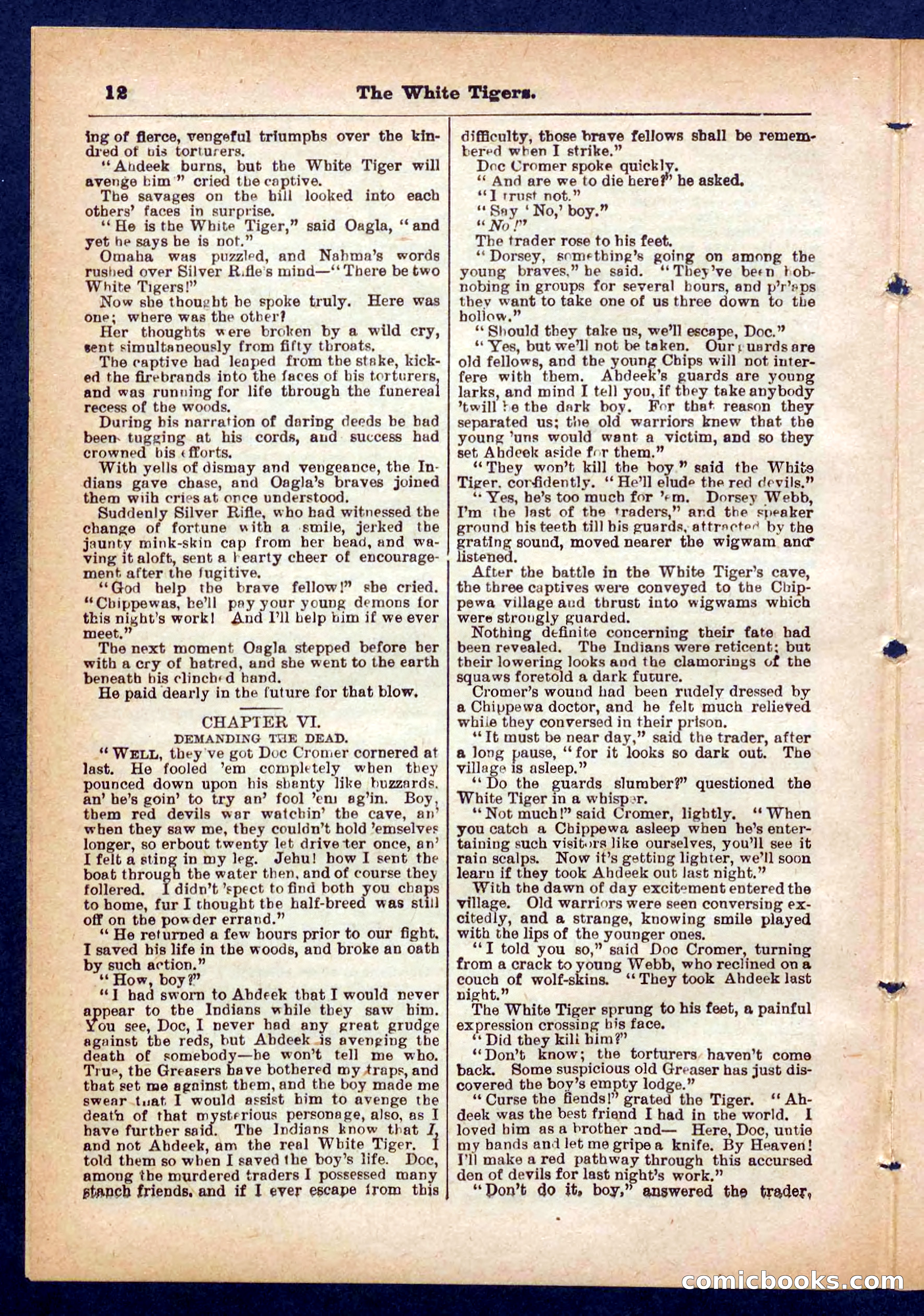 Silver Rifle, the Girl Tracker — page 12 of 32