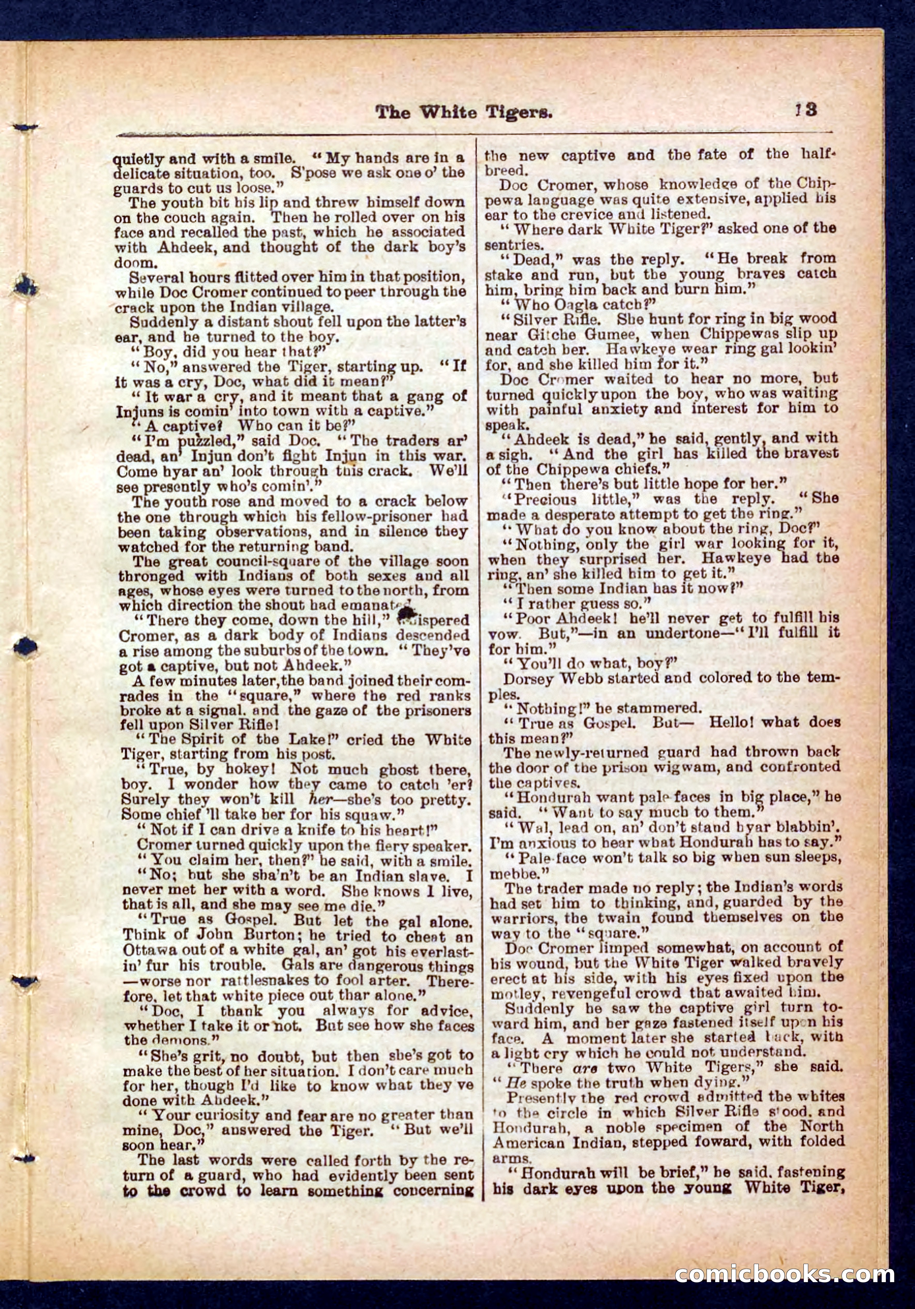 Silver Rifle, the Girl Tracker — page 13 of 32