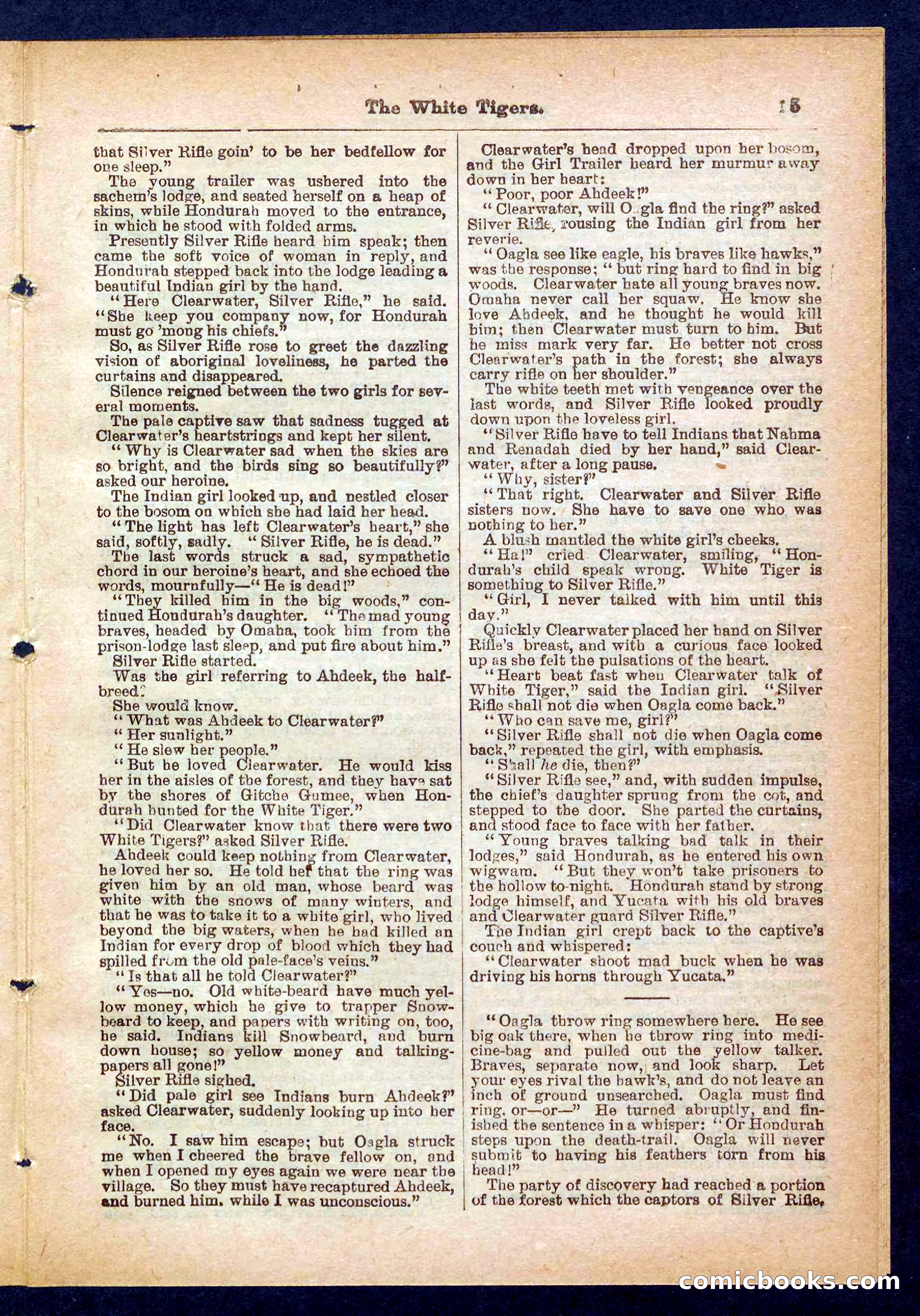 Silver Rifle, the Girl Tracker — page 15 of 32