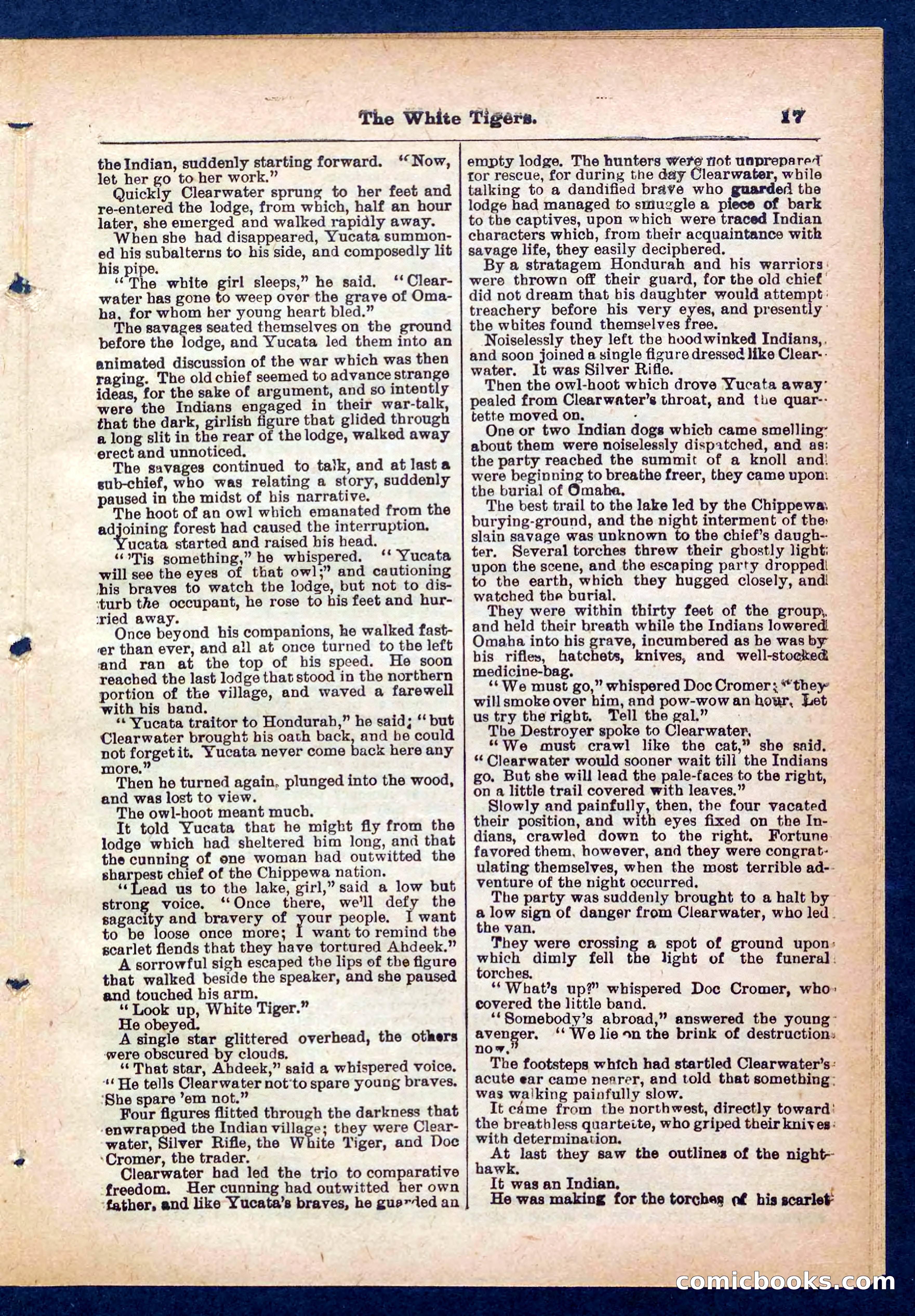 Silver Rifle, the Girl Tracker — page 17 of 32