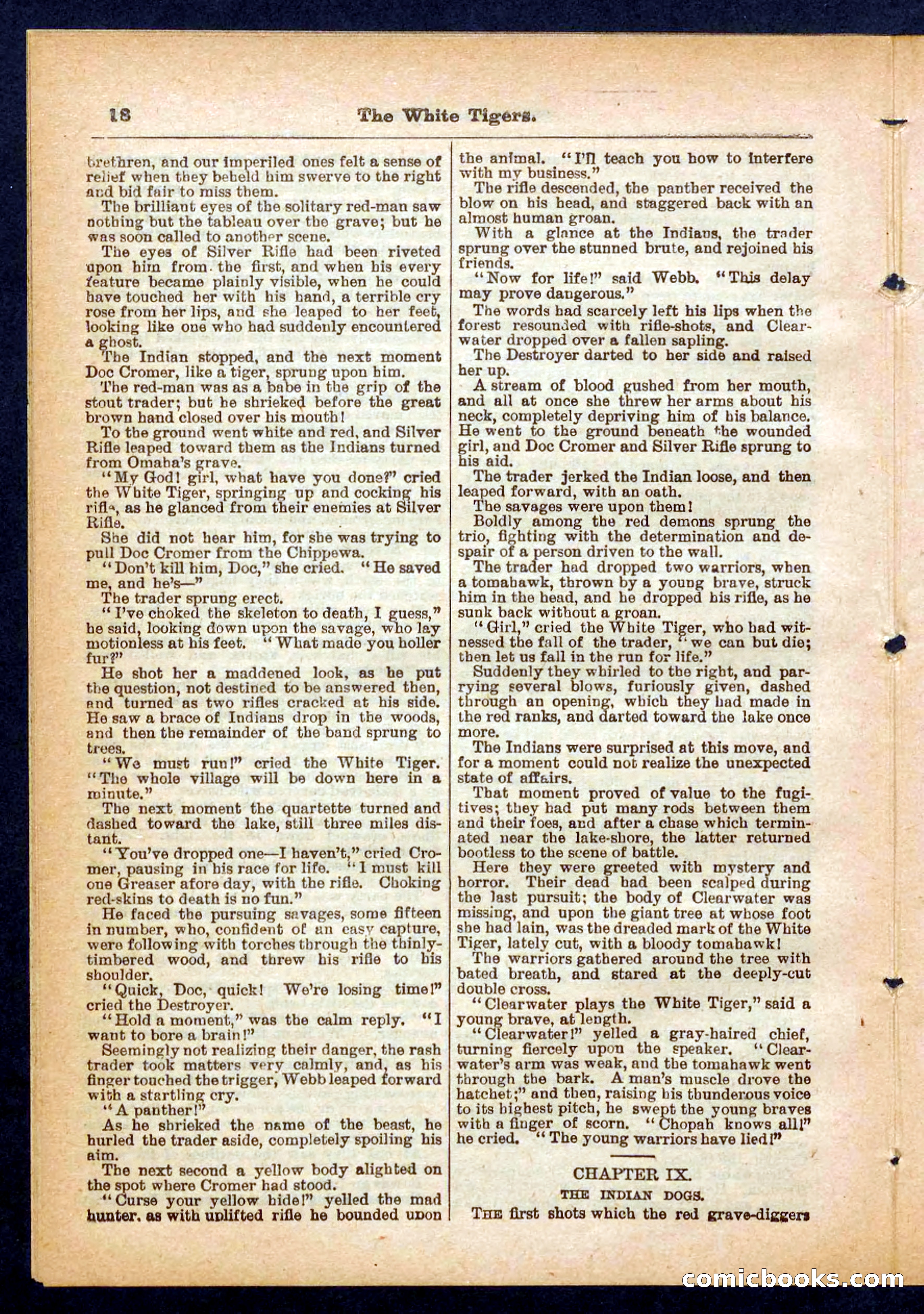 Silver Rifle, the Girl Tracker — page 18 of 32