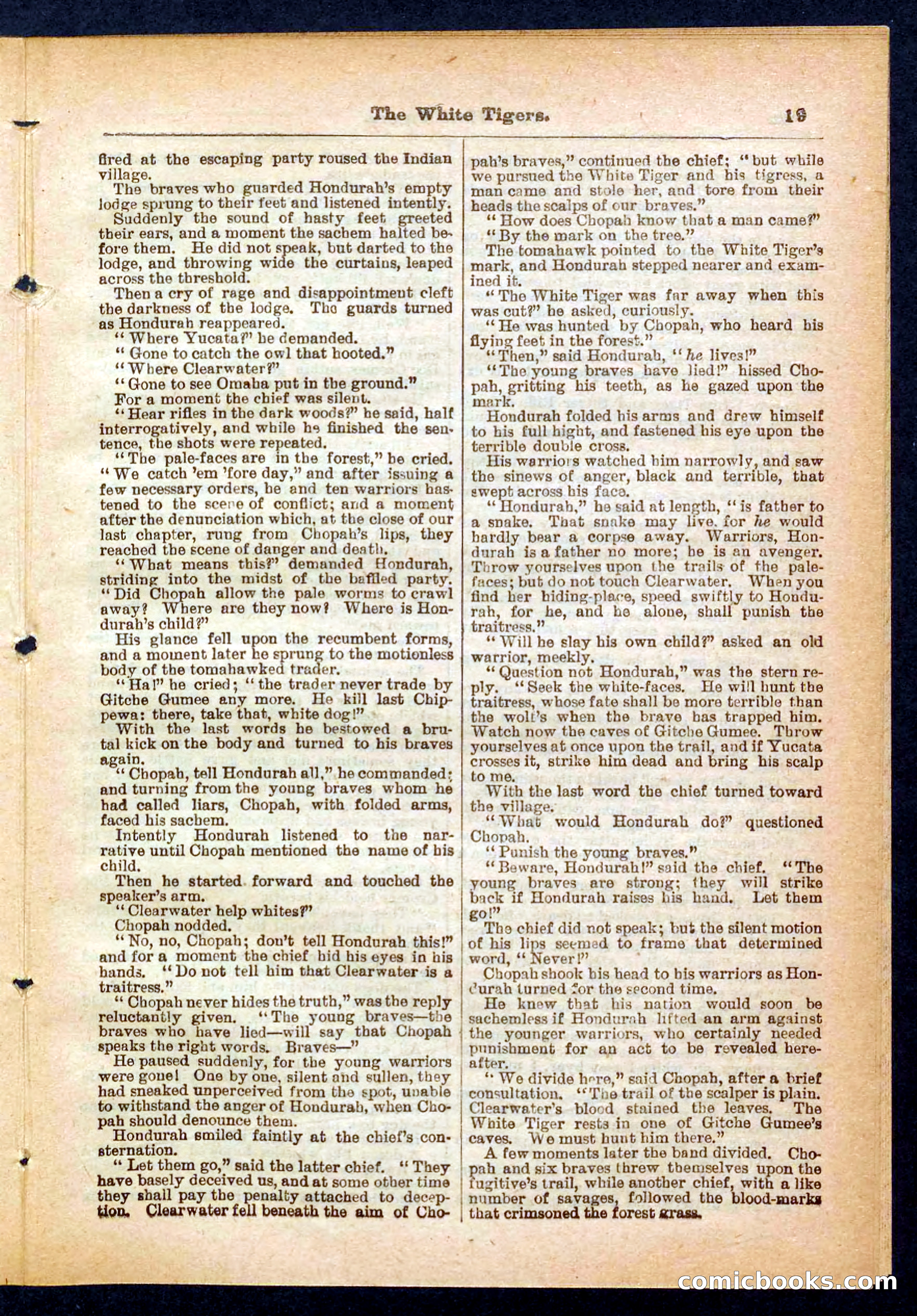 Silver Rifle, the Girl Tracker — page 19 of 32