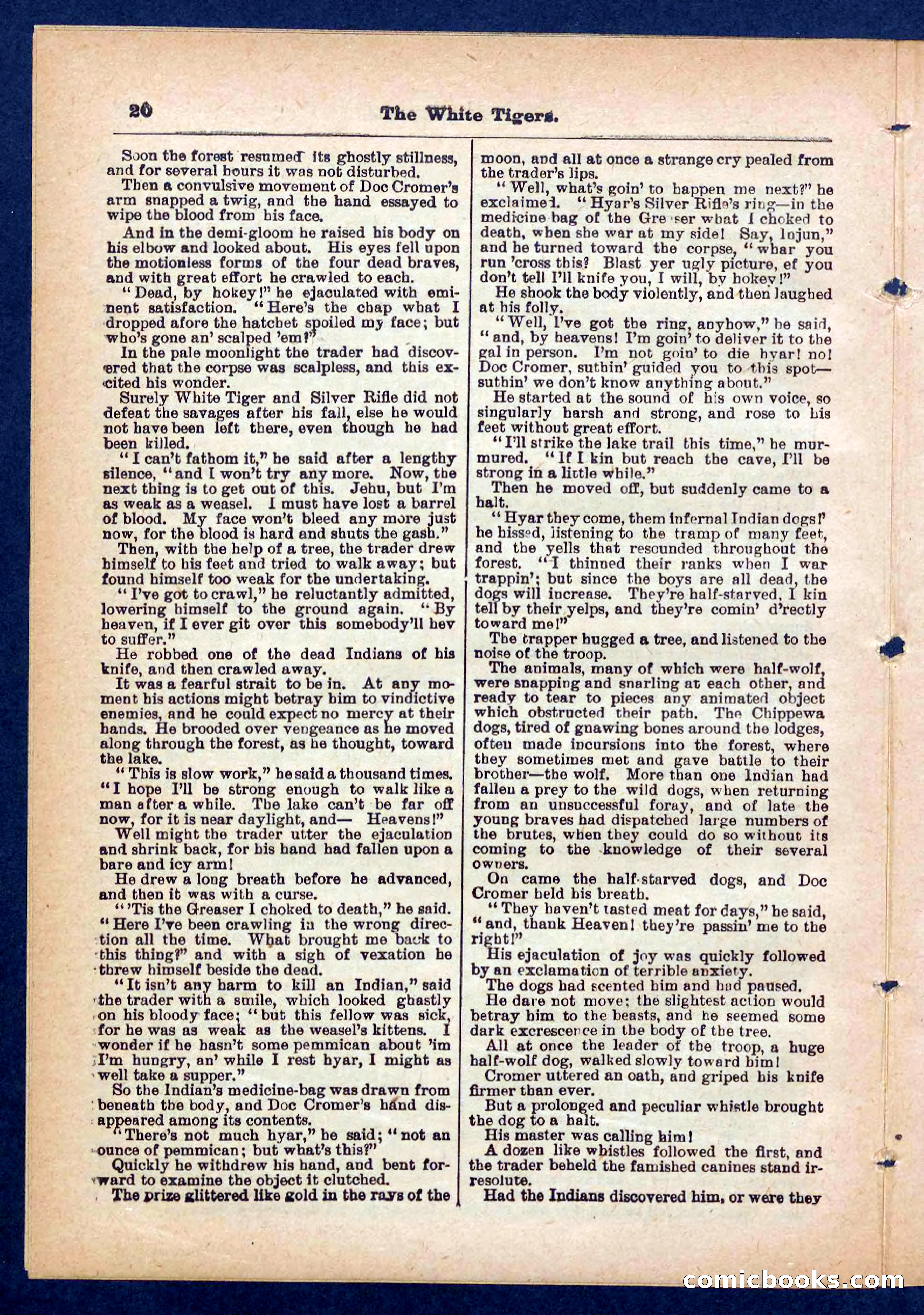 Silver Rifle, the Girl Tracker — page 20 of 32