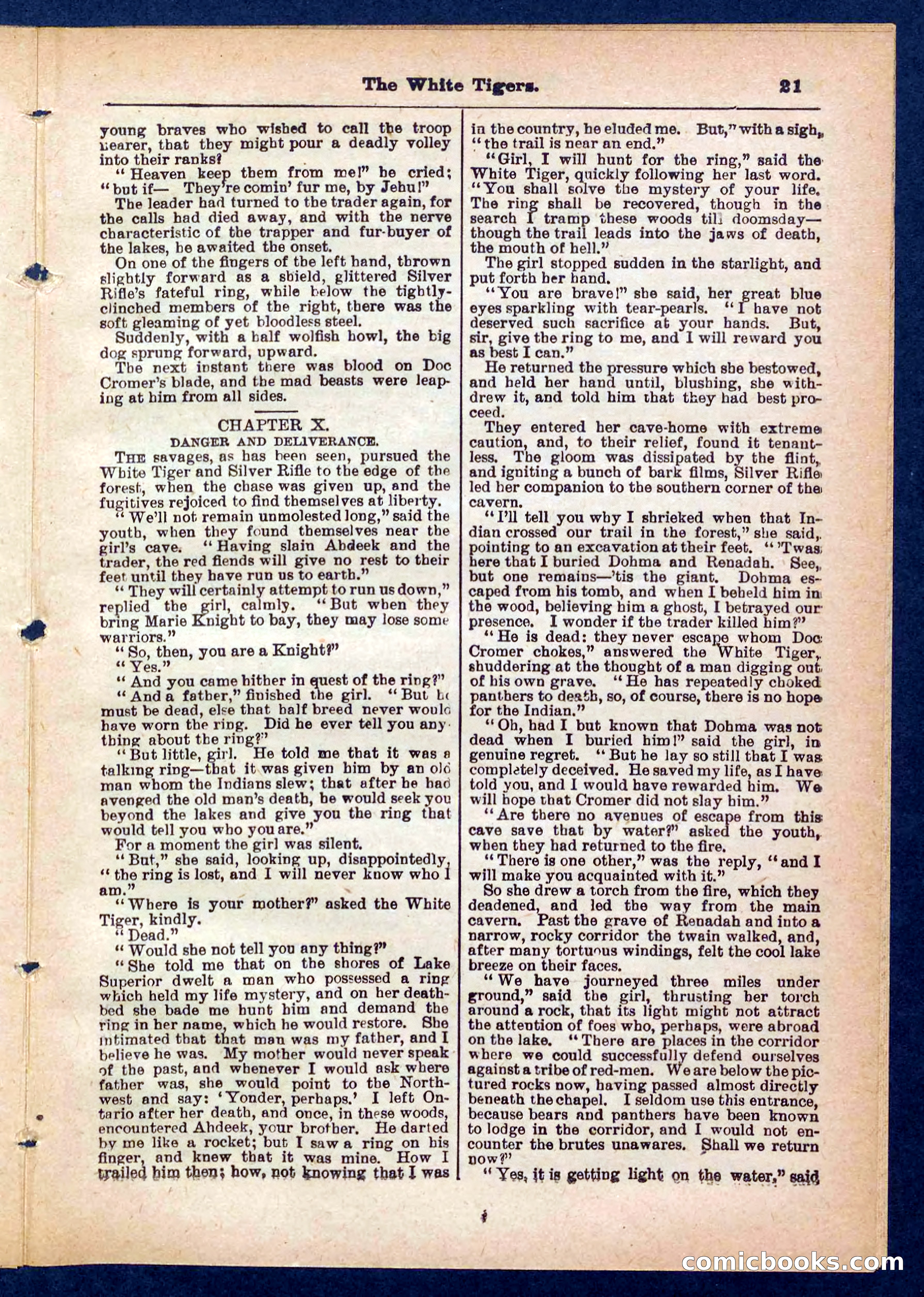 Silver Rifle, the Girl Tracker — page 21 of 32