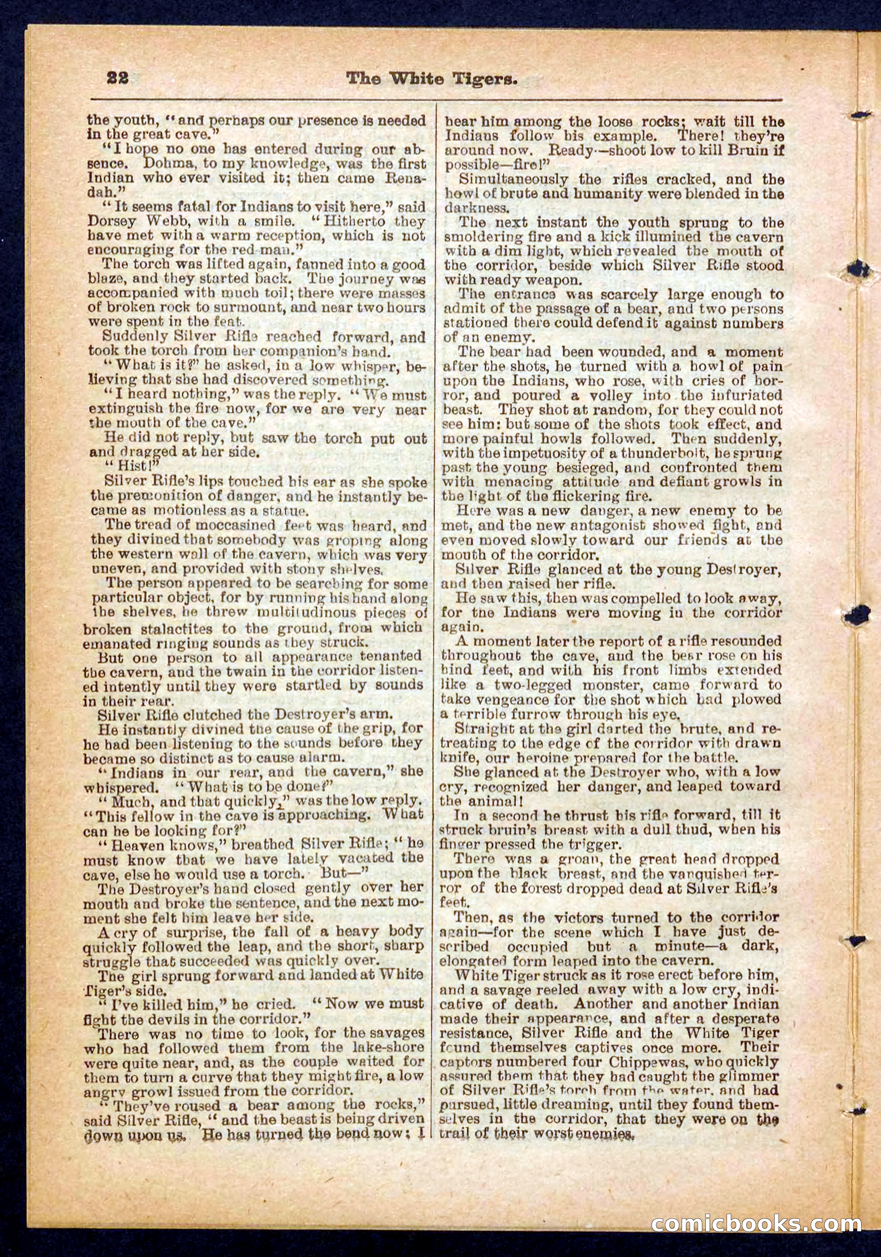 Silver Rifle, the Girl Tracker — page 22 of 32