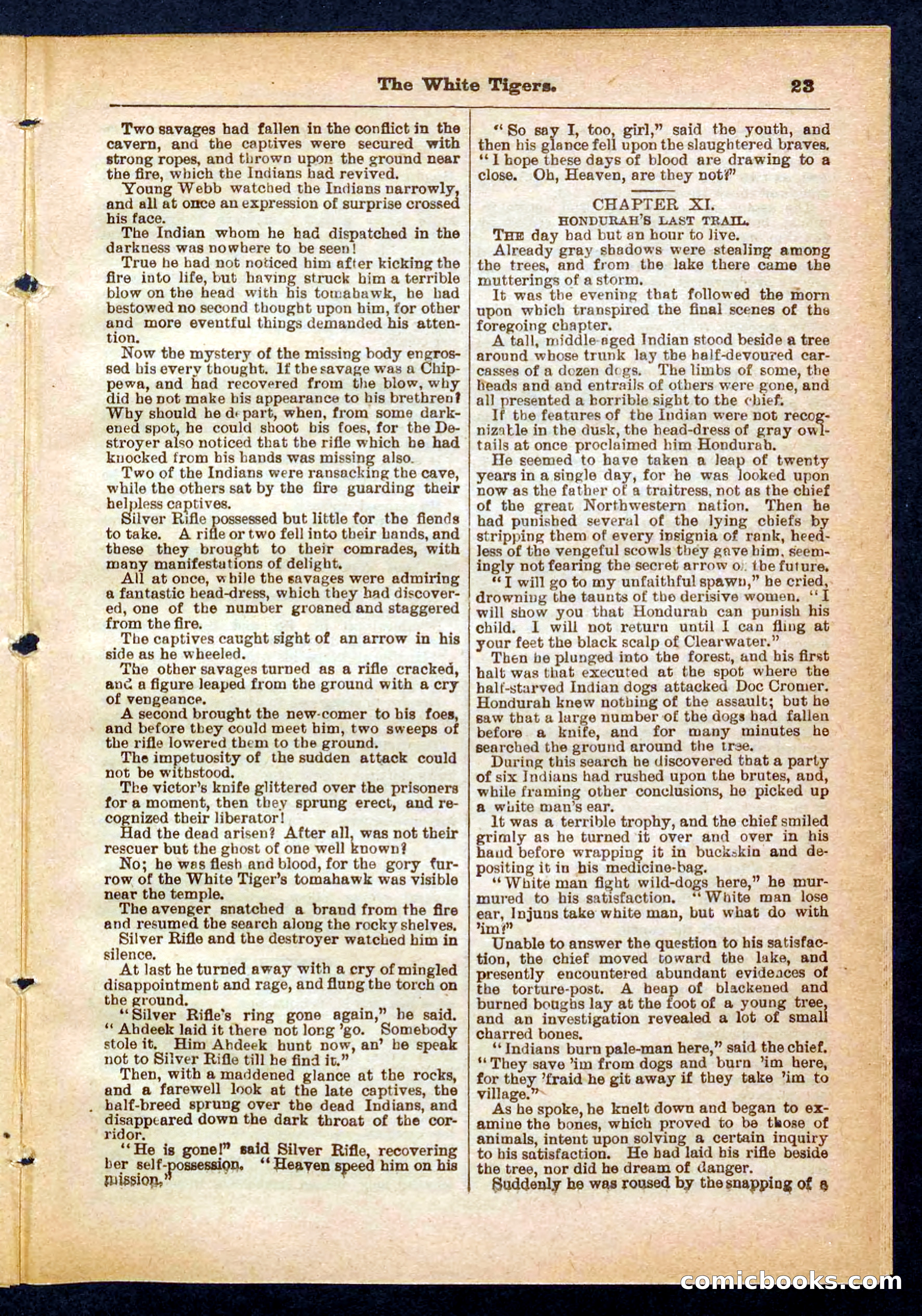 Silver Rifle, the Girl Tracker — page 23 of 32