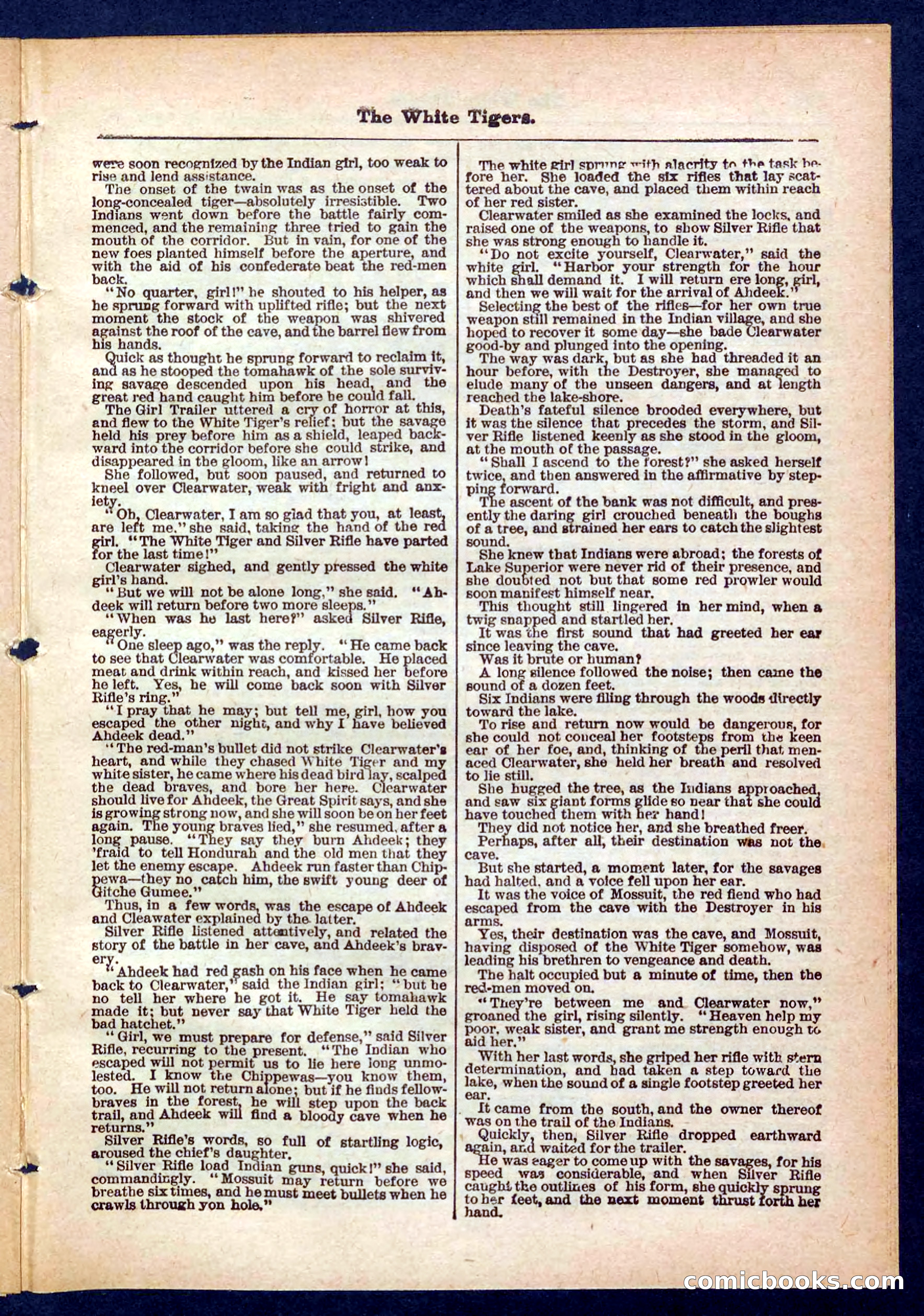 Silver Rifle, the Girl Tracker — page 25 of 32