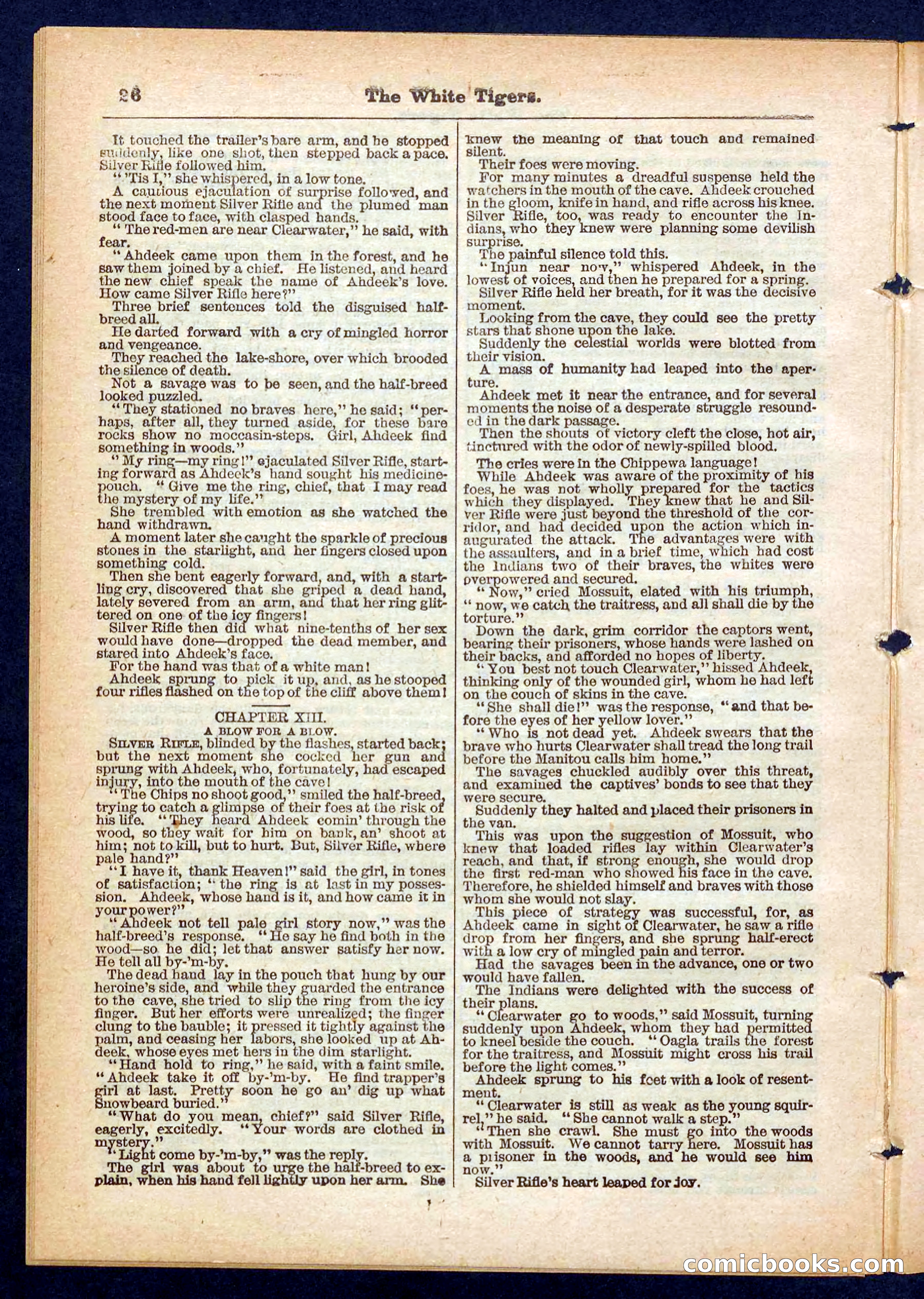 Silver Rifle, the Girl Tracker — page 26 of 32