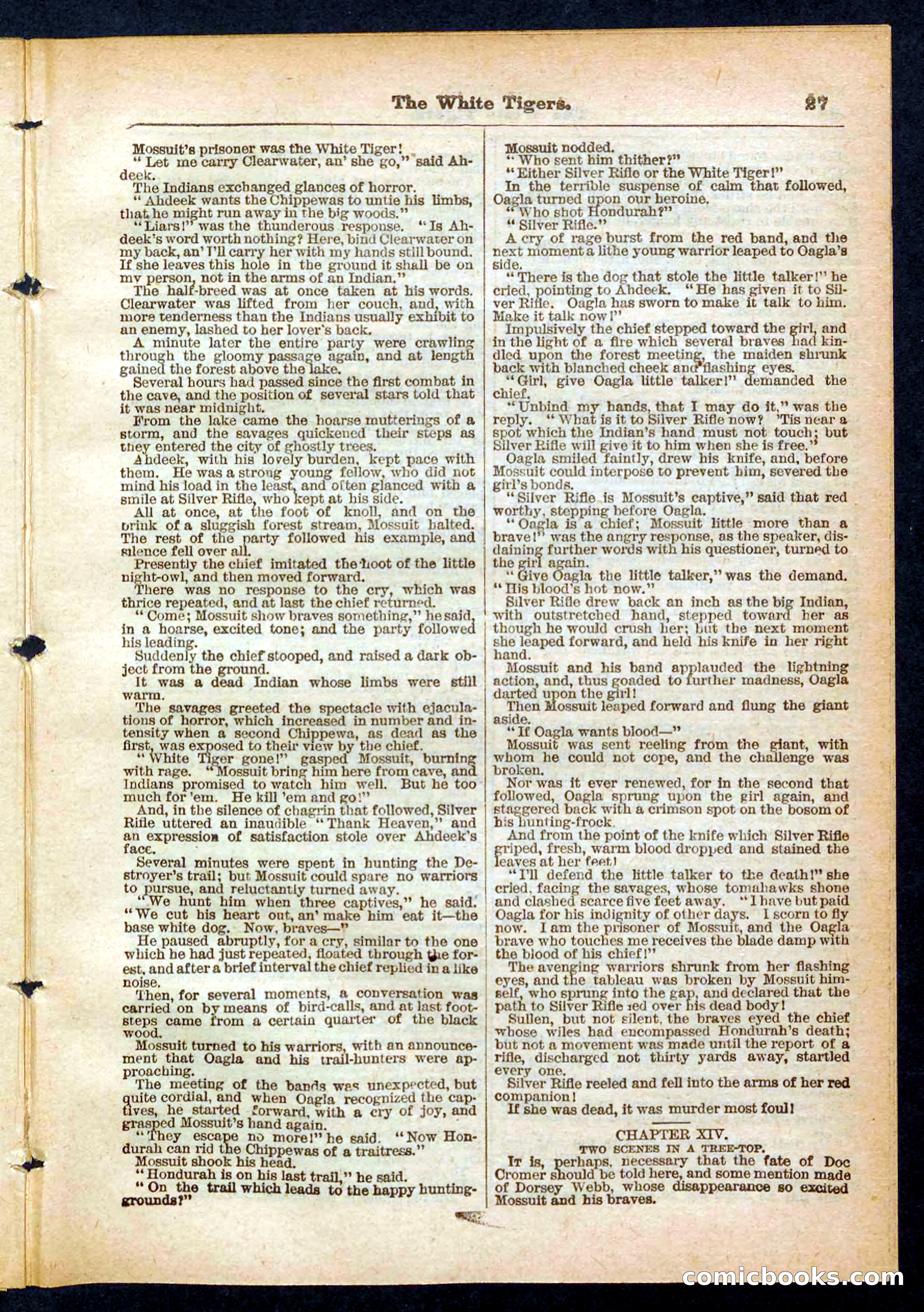 Silver Rifle, the Girl Tracker — page 27 of 32