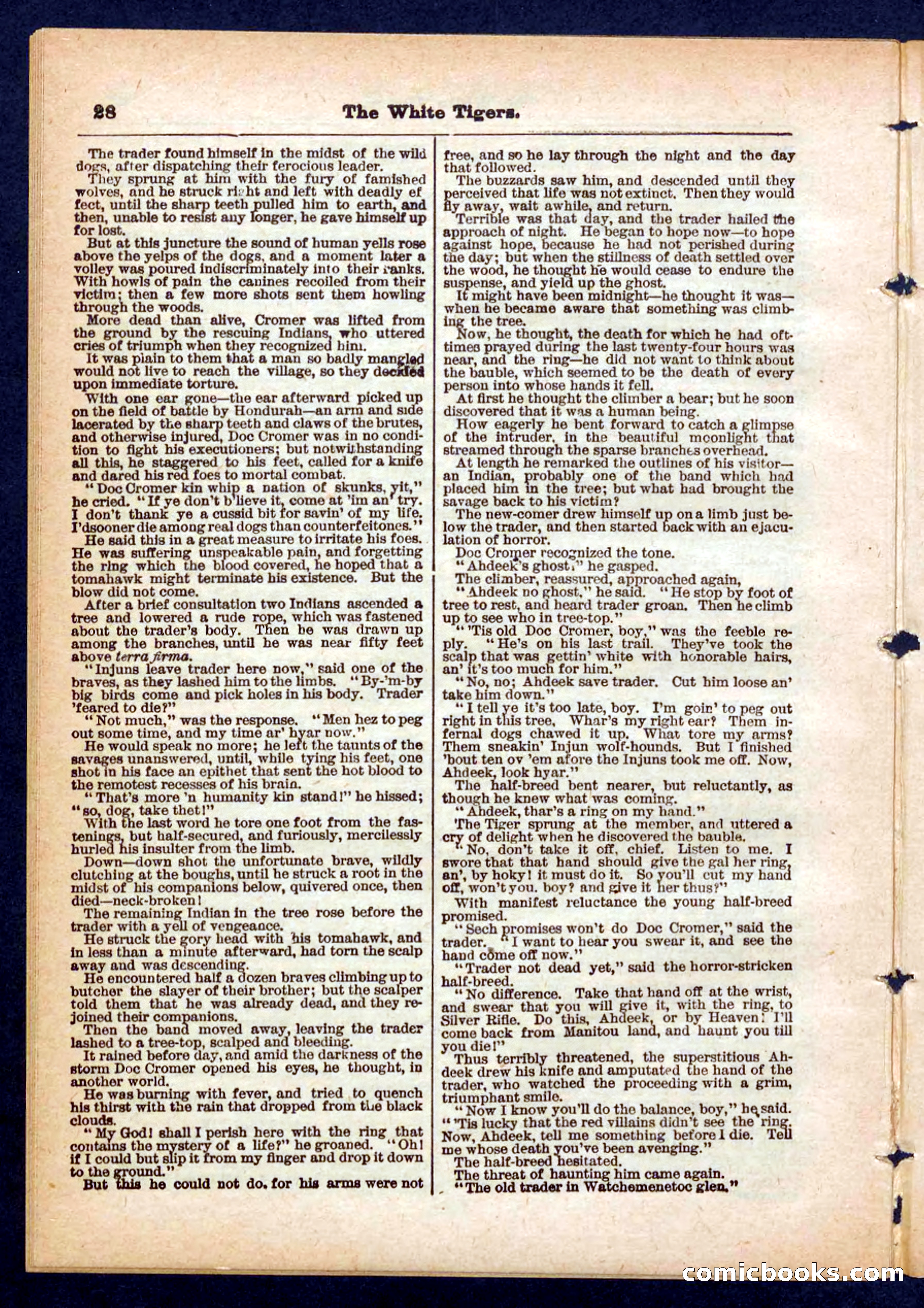Silver Rifle, the Girl Tracker — page 28 of 32
