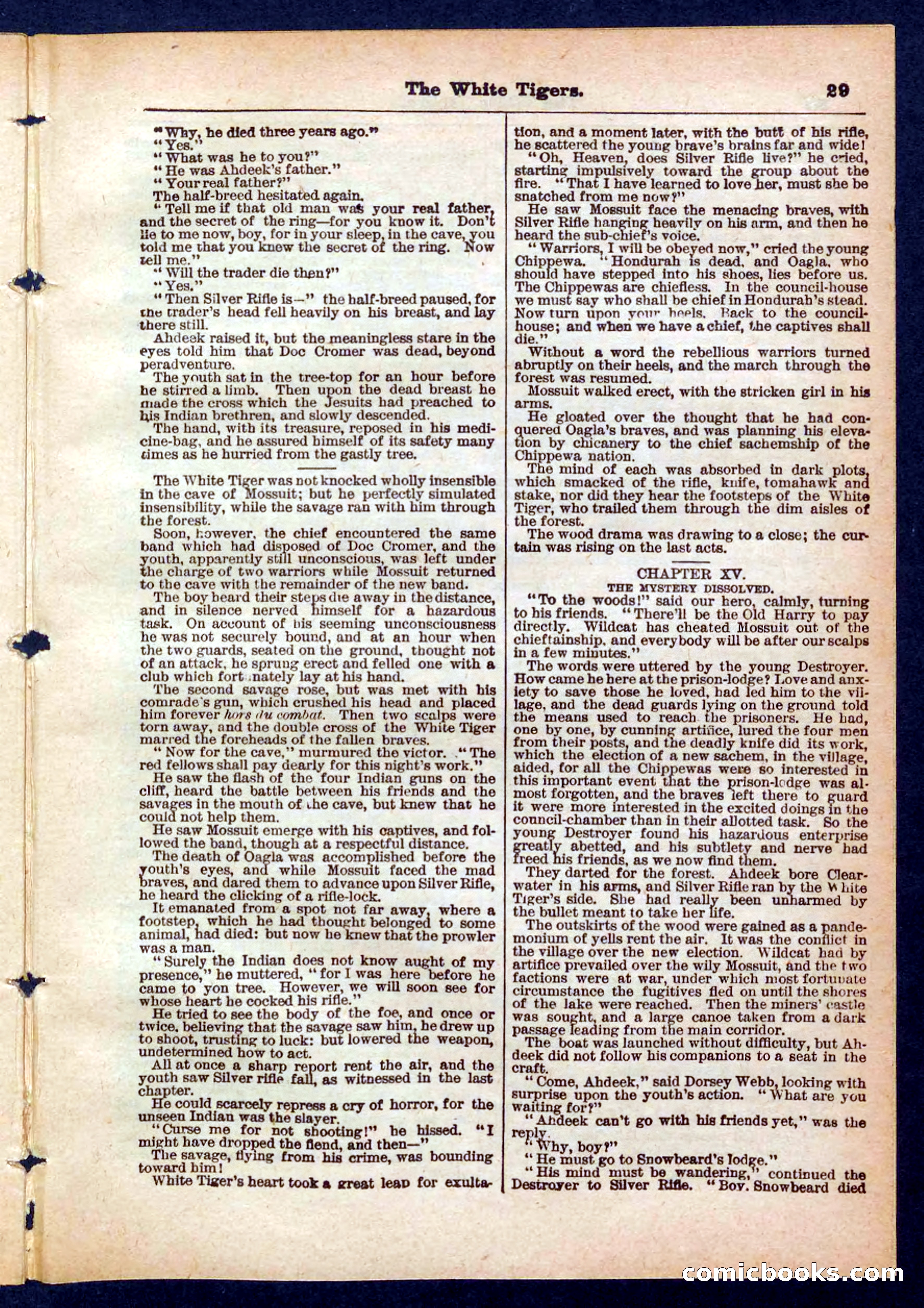 Silver Rifle, the Girl Tracker — page 29 of 32