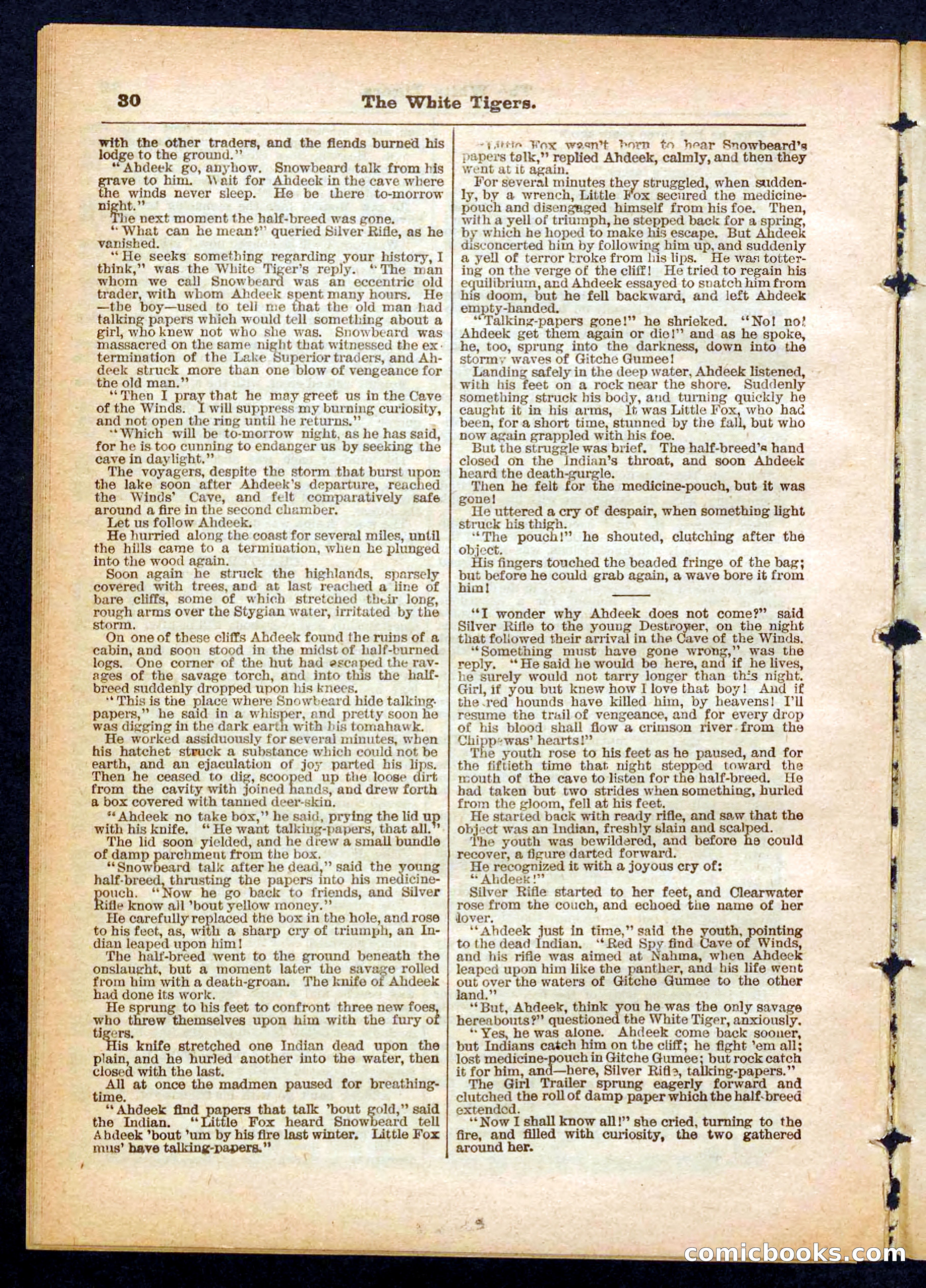 Silver Rifle, the Girl Tracker — page 30 of 32