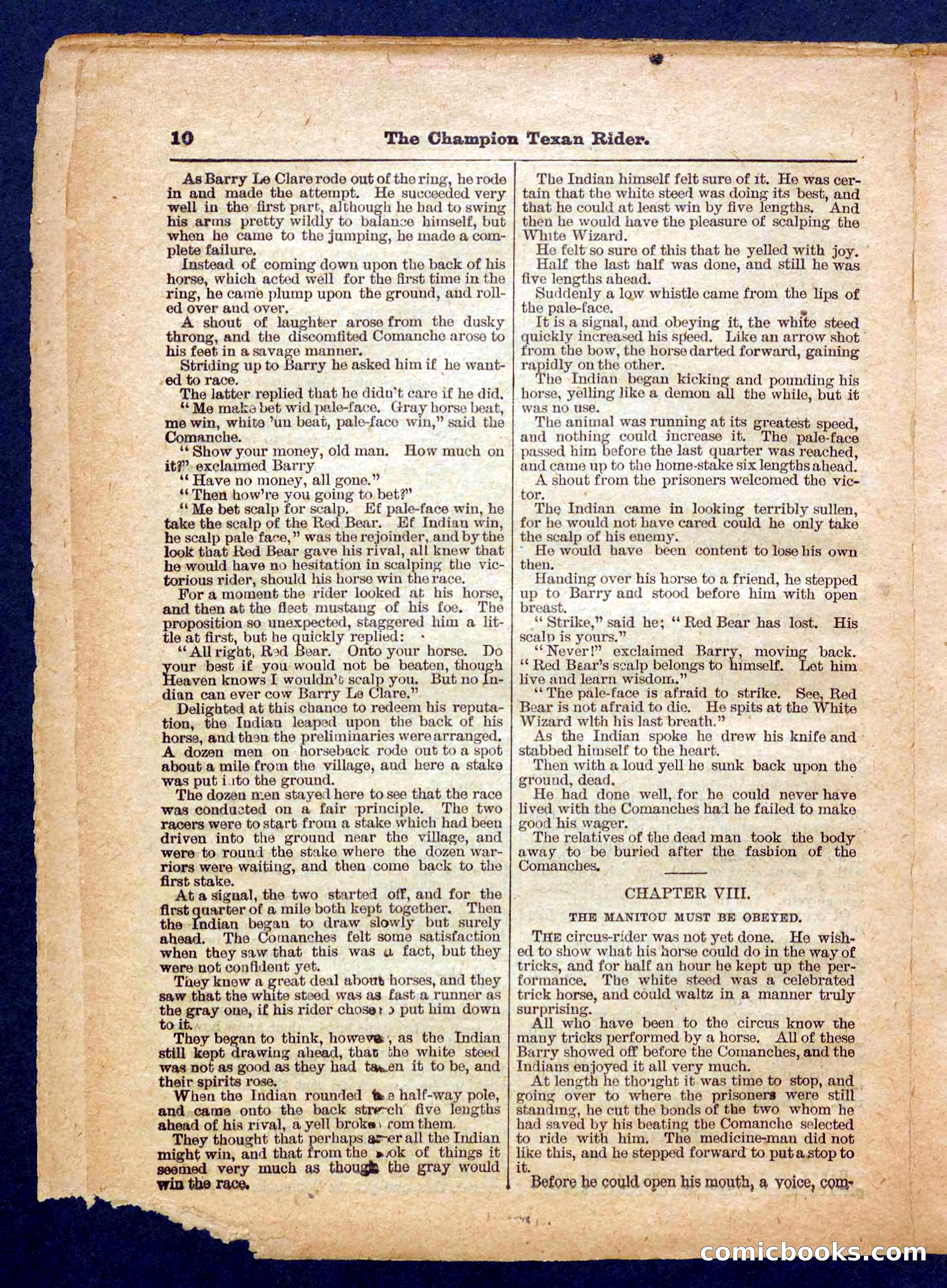 Beadle's Pocket Library No. 458 — page 10 of 32