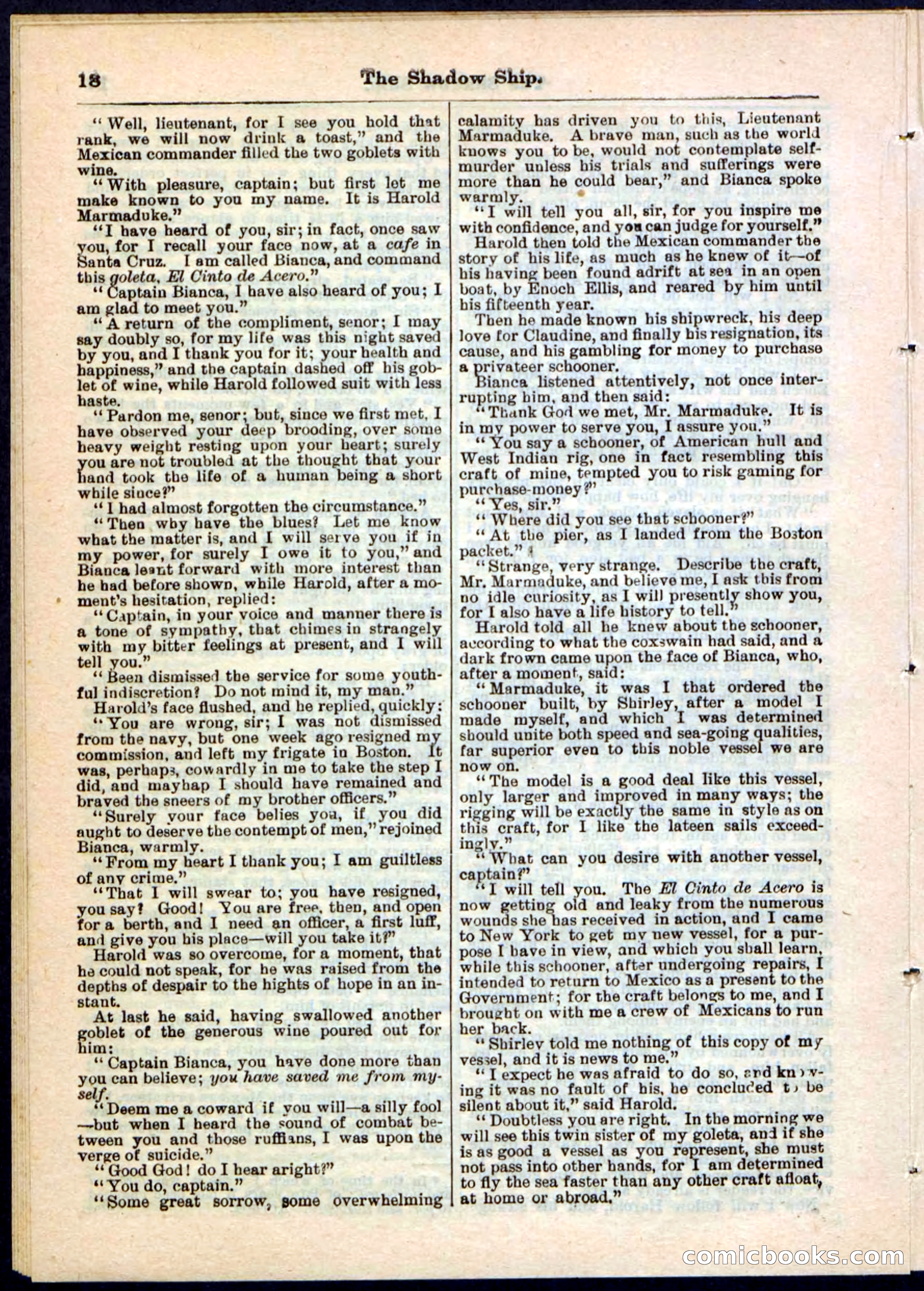 The Shadow Ship; or, The Rival Lieutenants — page 18 of 32