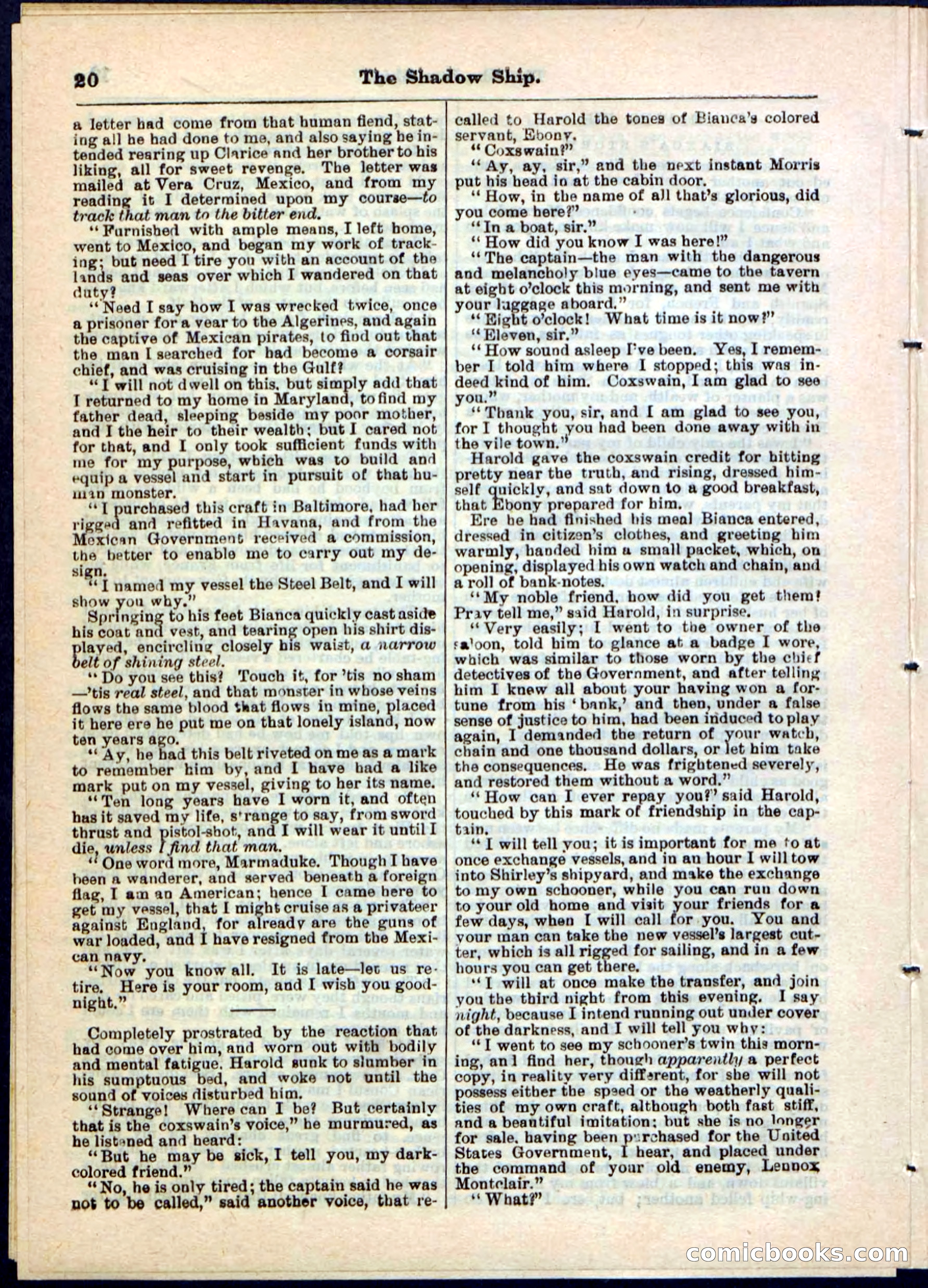 The Shadow Ship; or, The Rival Lieutenants — page 20 of 32