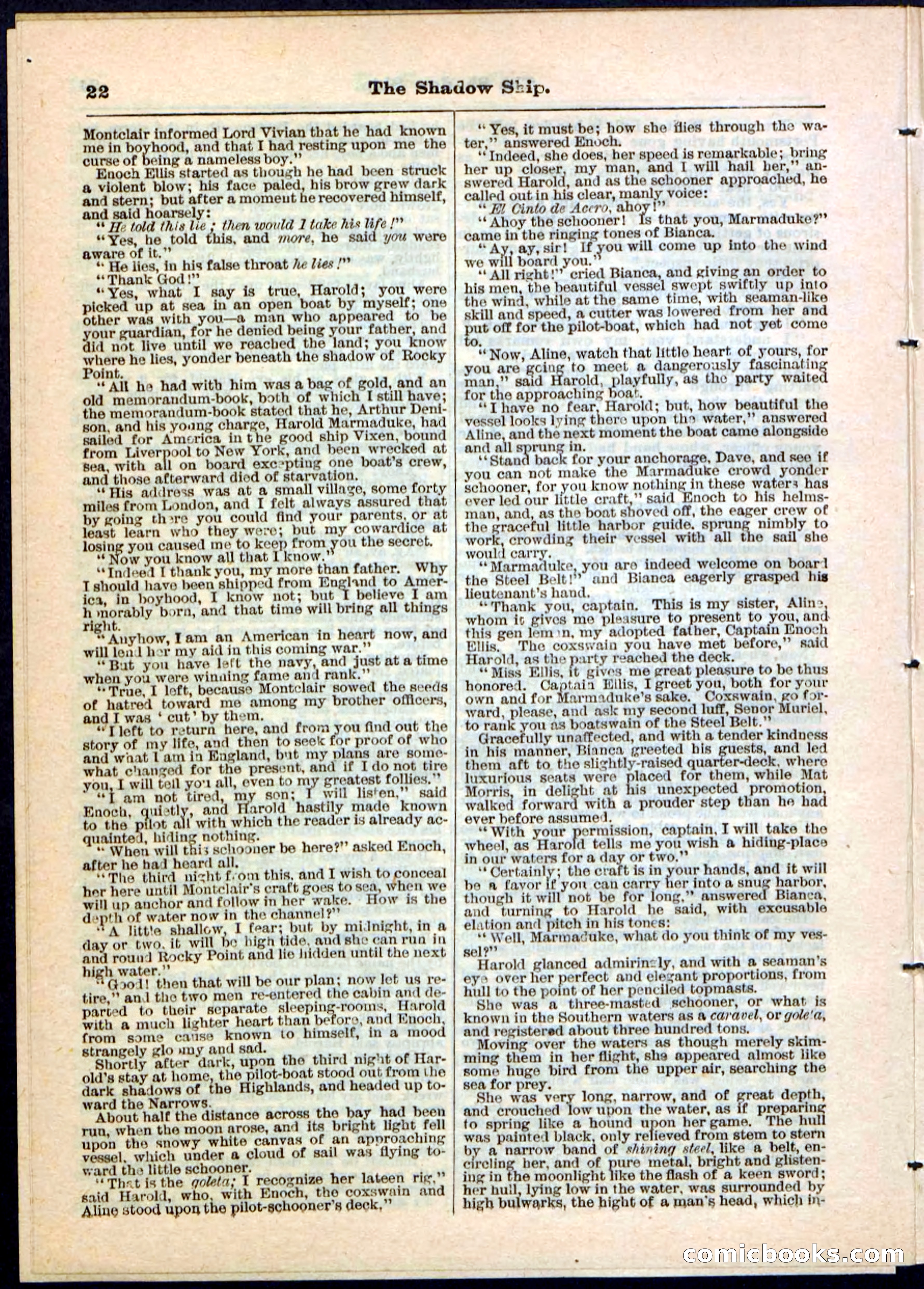 The Shadow Ship; or, The Rival Lieutenants — page 22 of 32