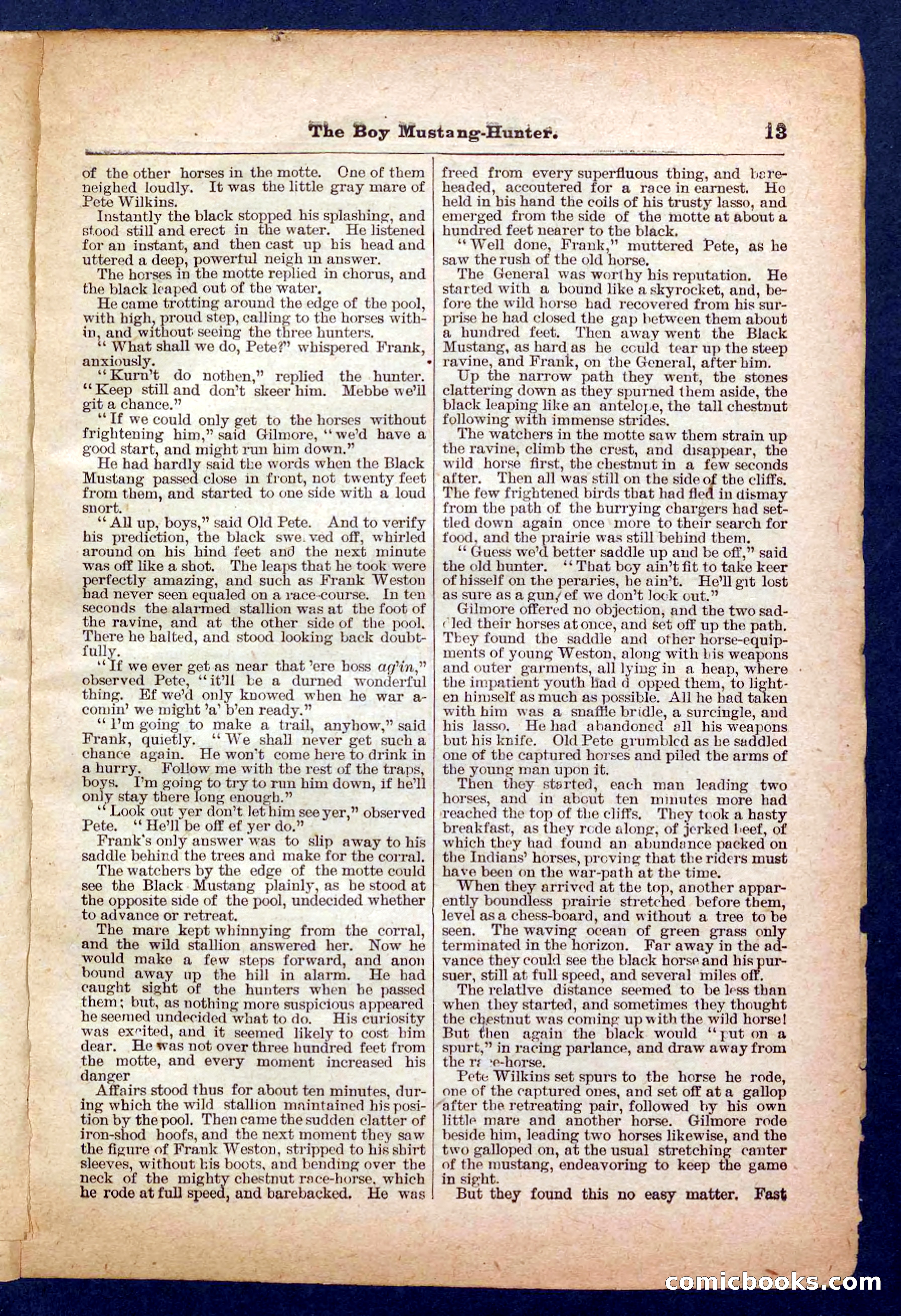 The Texan Sport — page 13 of 32