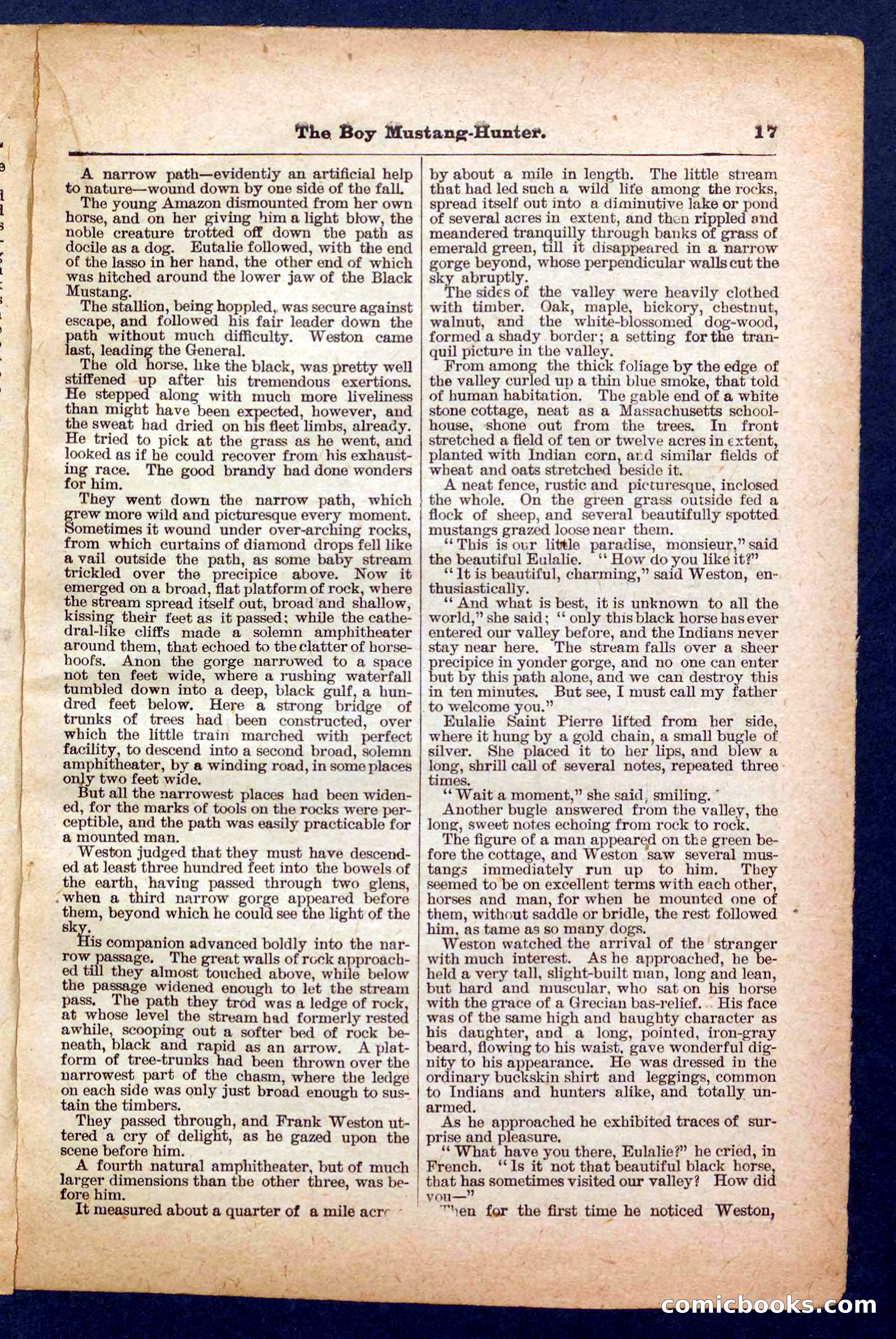 The Texan Sport — page 17 of 32