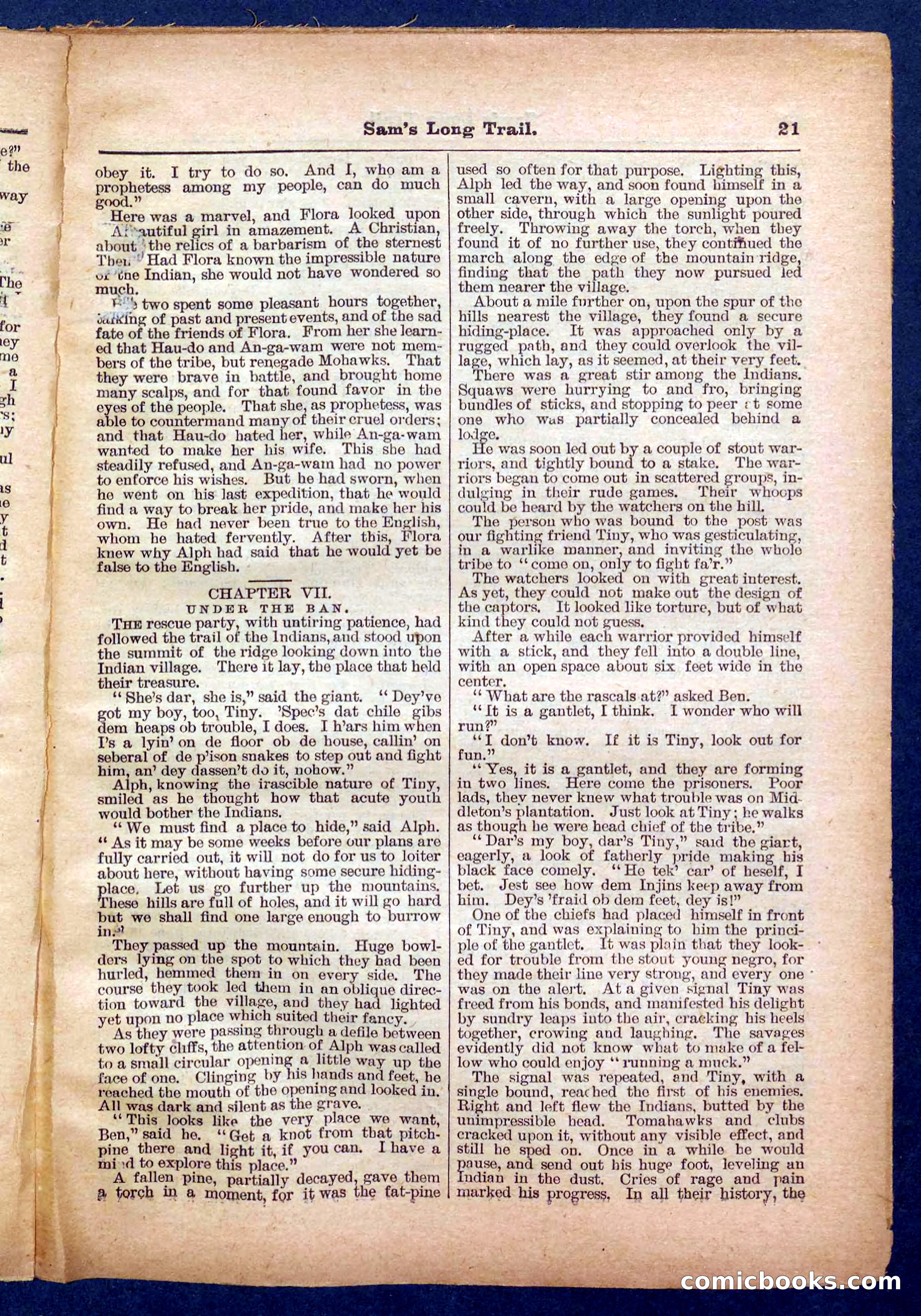The Twin Buckskins — page 21 of 32
