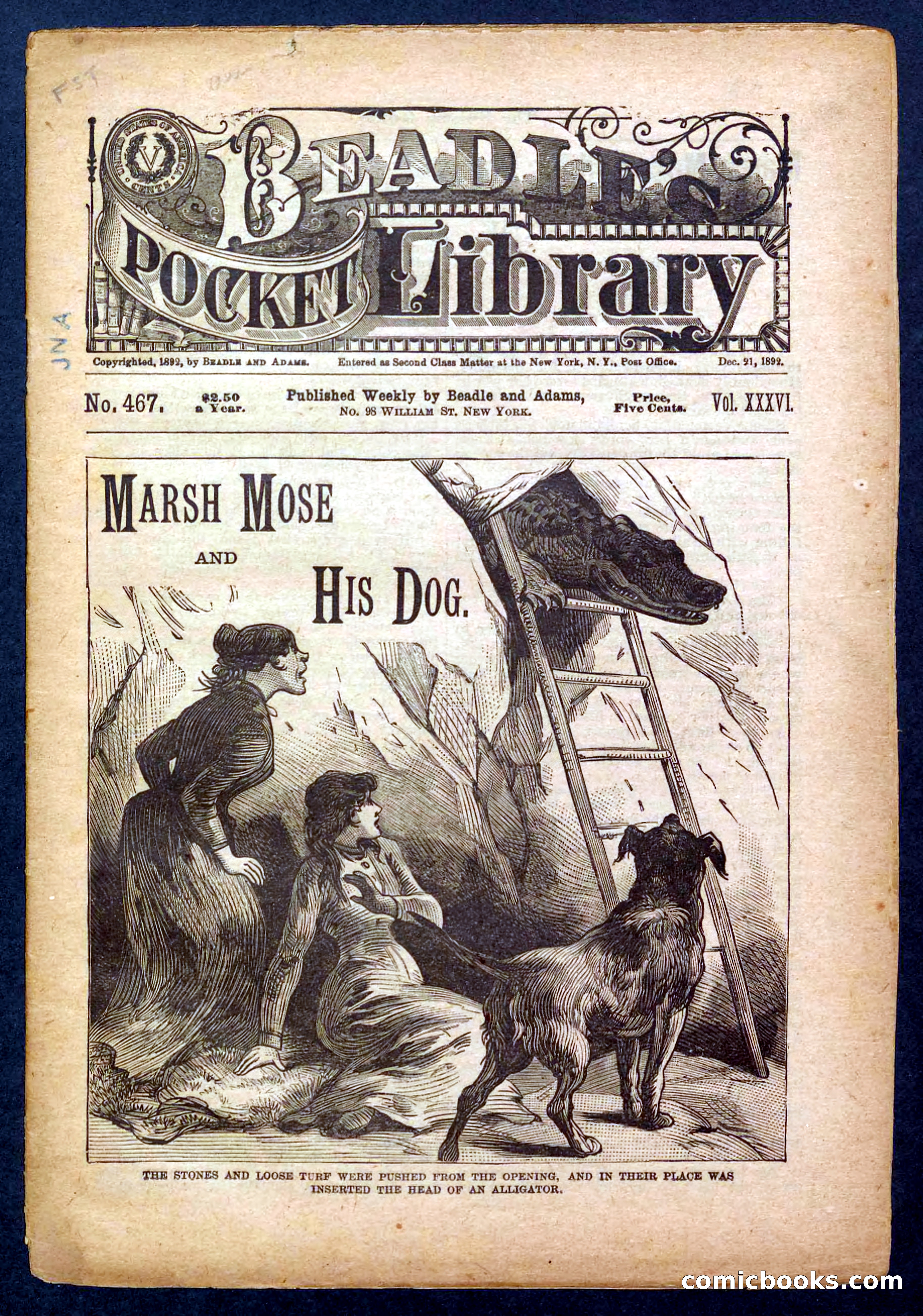 Beadle's Pocket Library No. 467: March Mose and His Dog — page 1 of 32