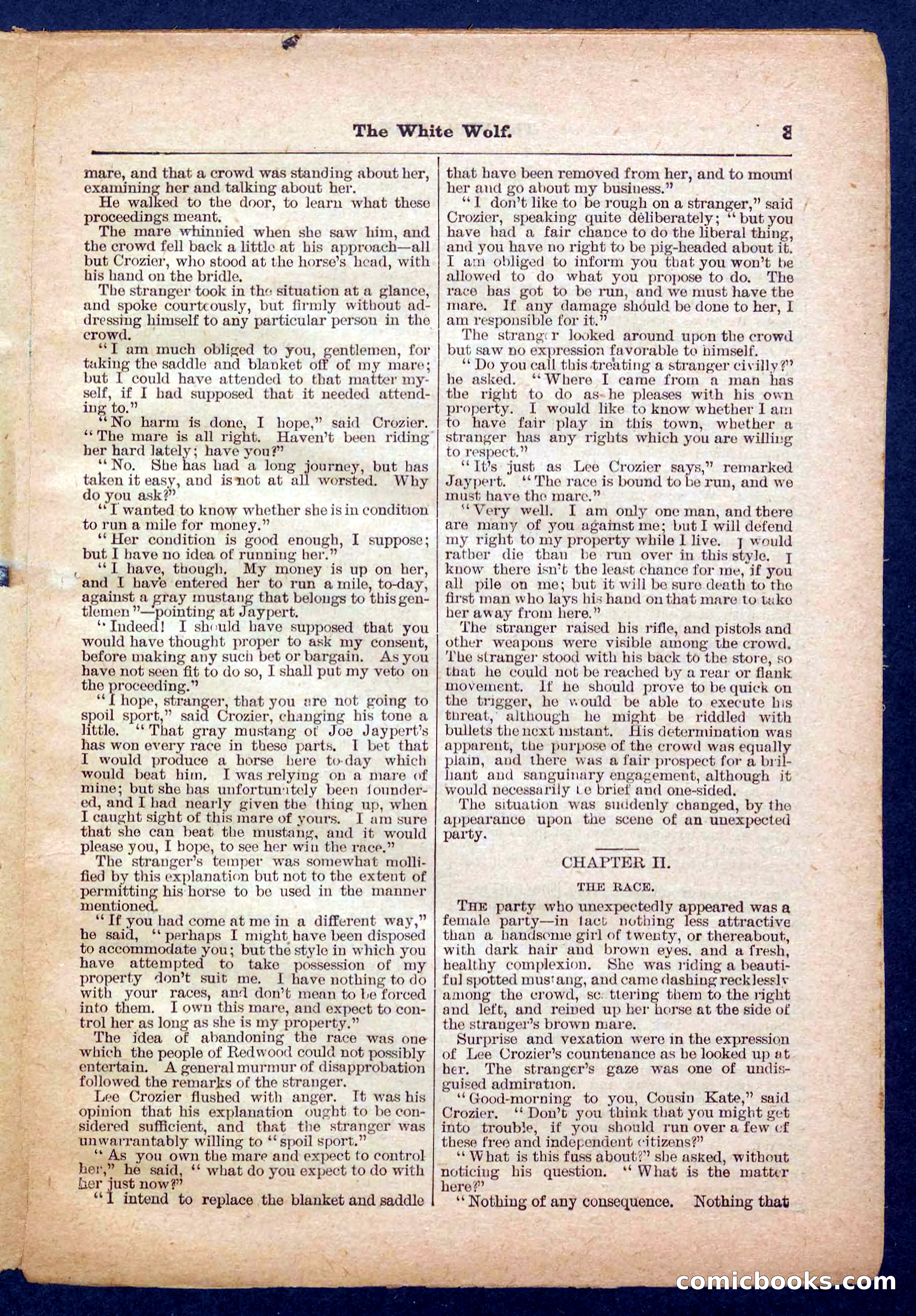 Jack Scott in Texas; or, The White Wolf — page 3 of 32