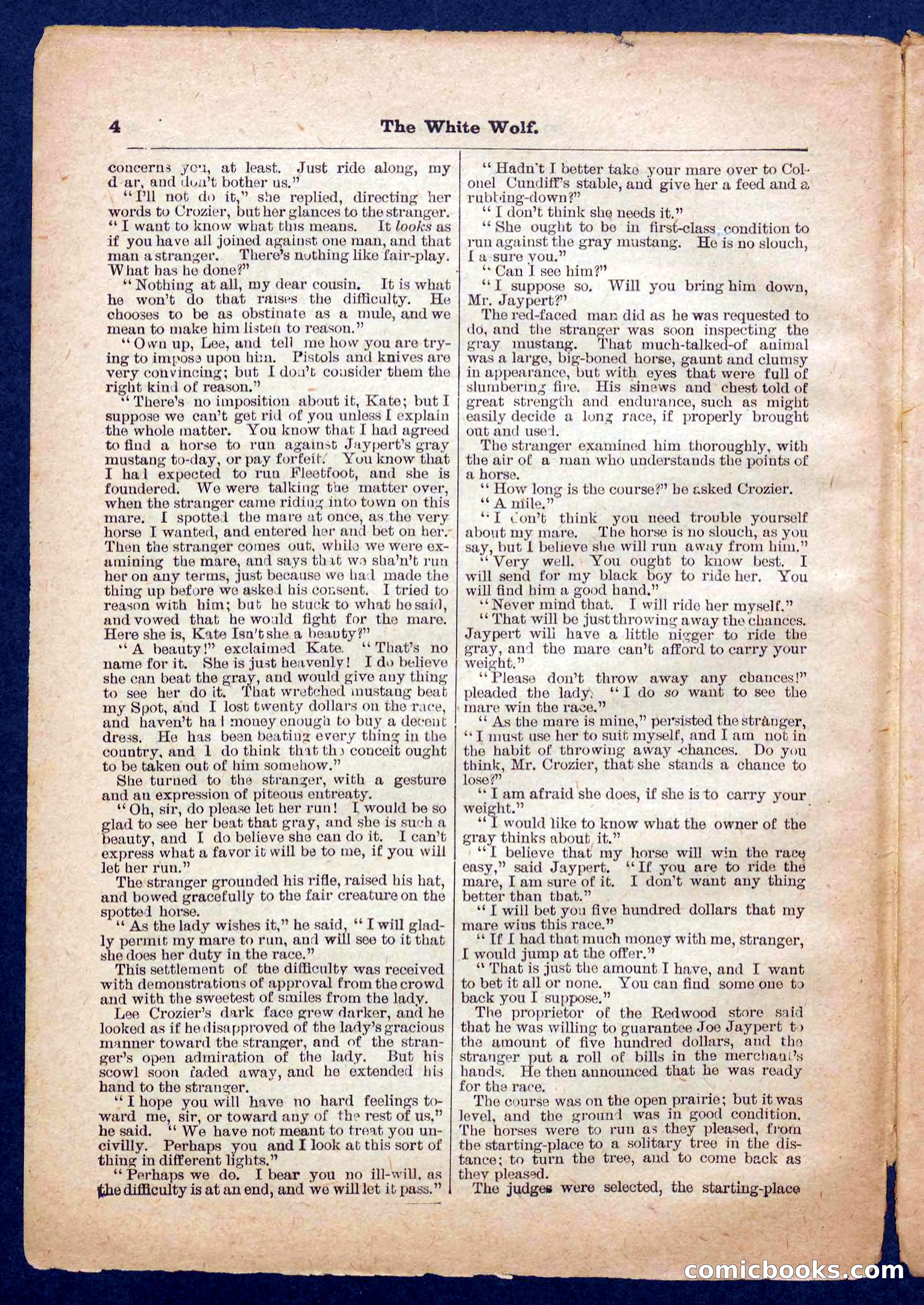 Jack Scott in Texas; or, The White Wolf — page 4 of 32