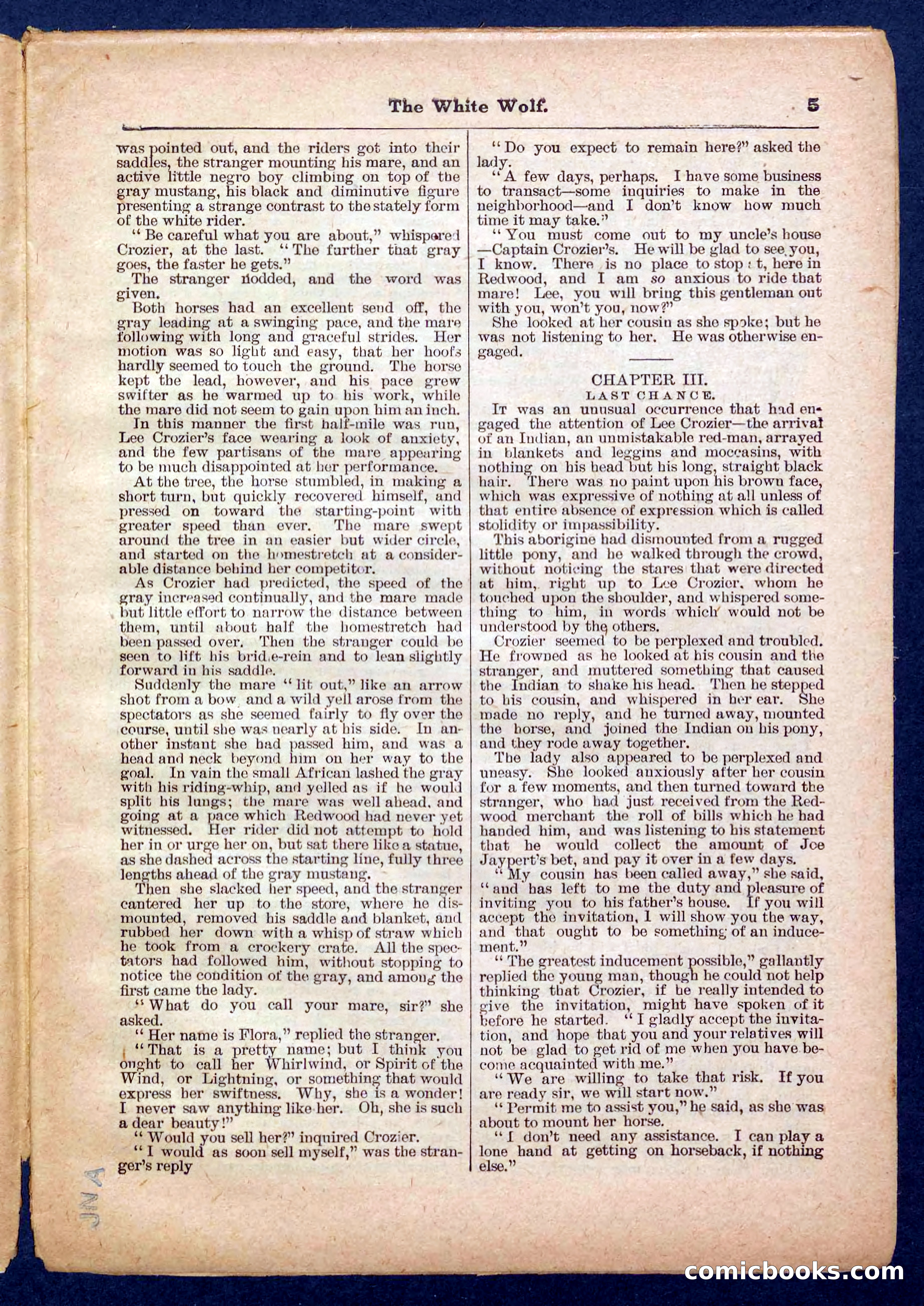 Jack Scott in Texas; or, The White Wolf — page 5 of 32