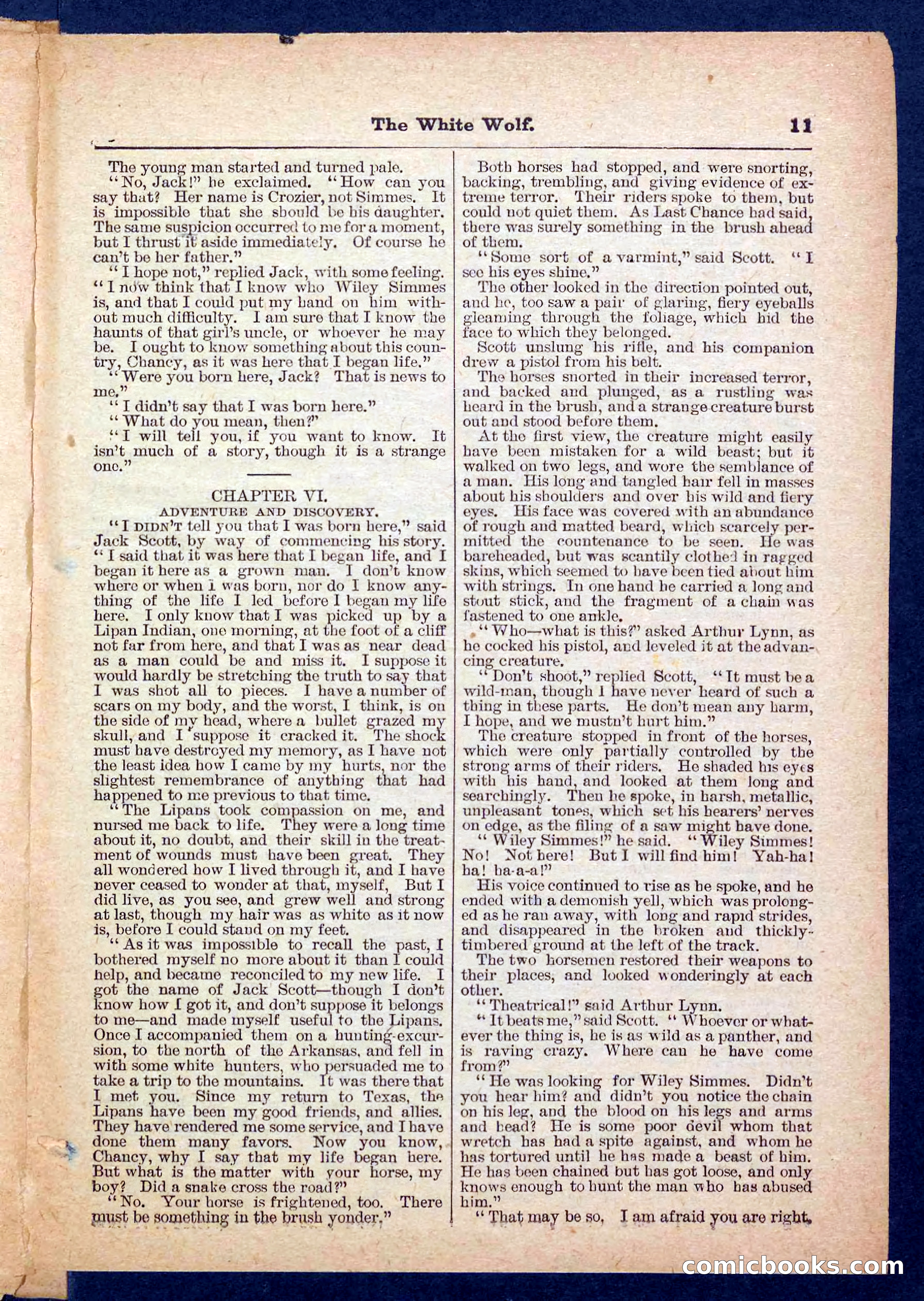 Jack Scott in Texas; or, The White Wolf — page 11 of 32