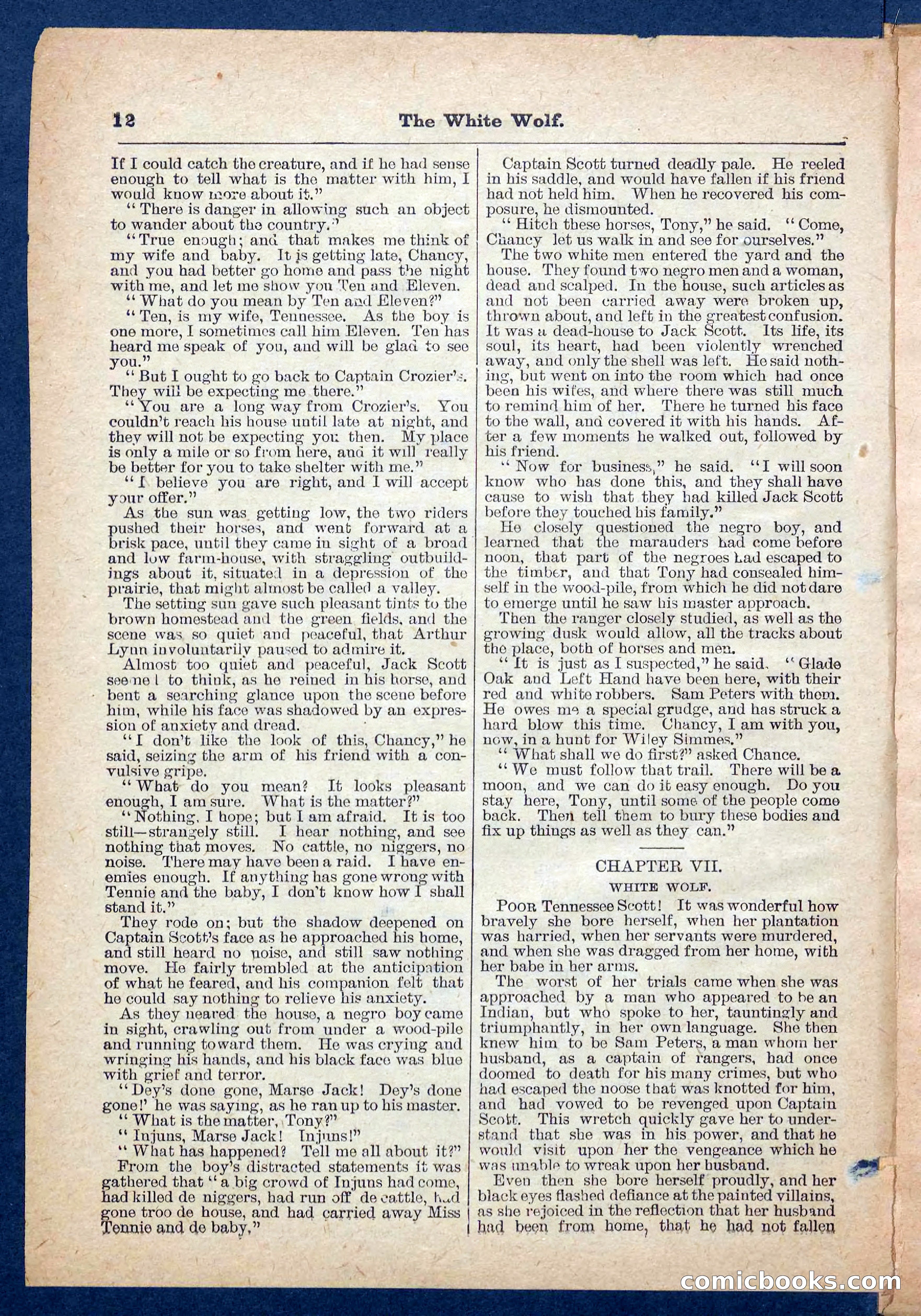 Jack Scott in Texas; or, The White Wolf — page 12 of 32