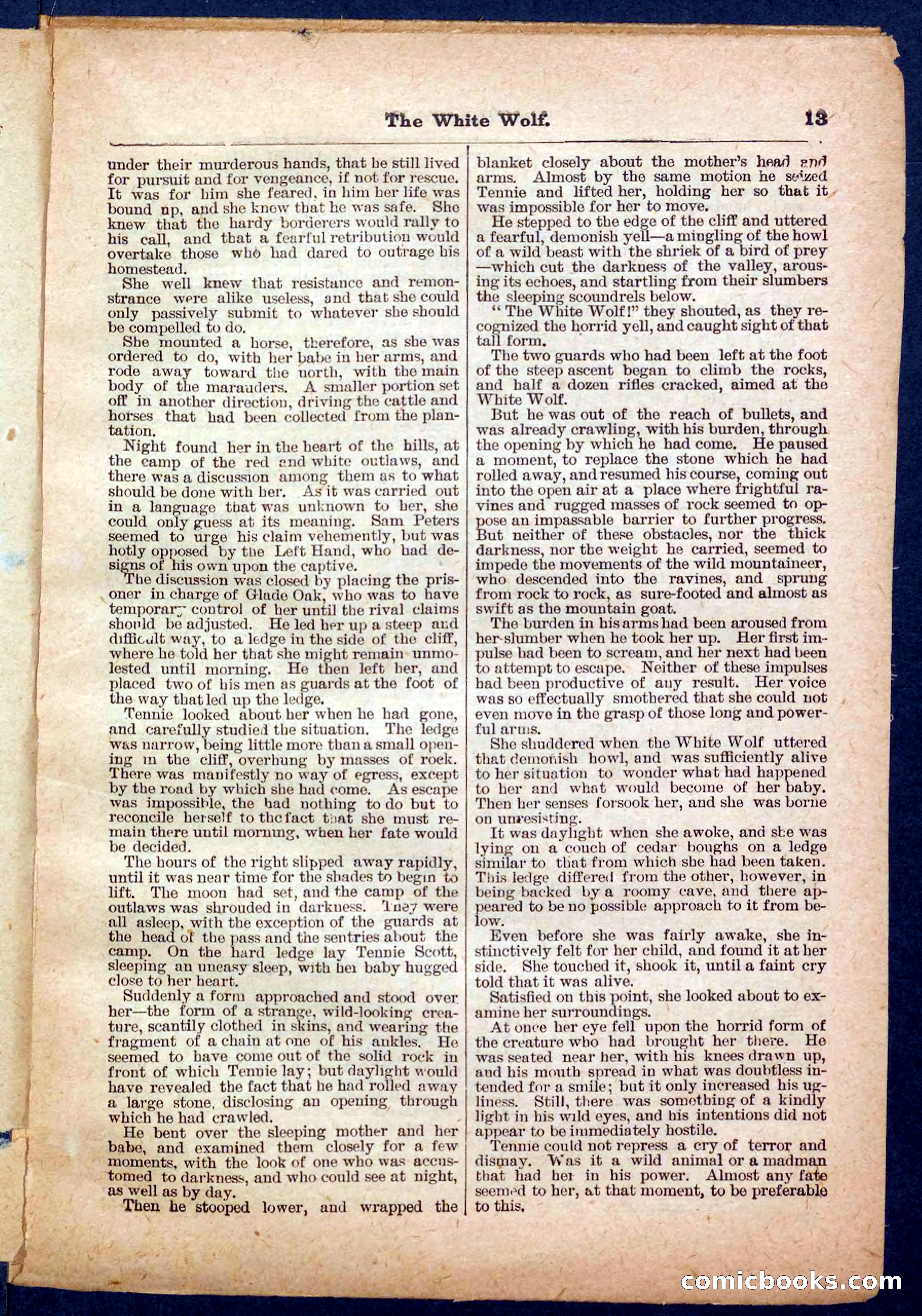 Jack Scott in Texas; or, The White Wolf — page 13 of 32