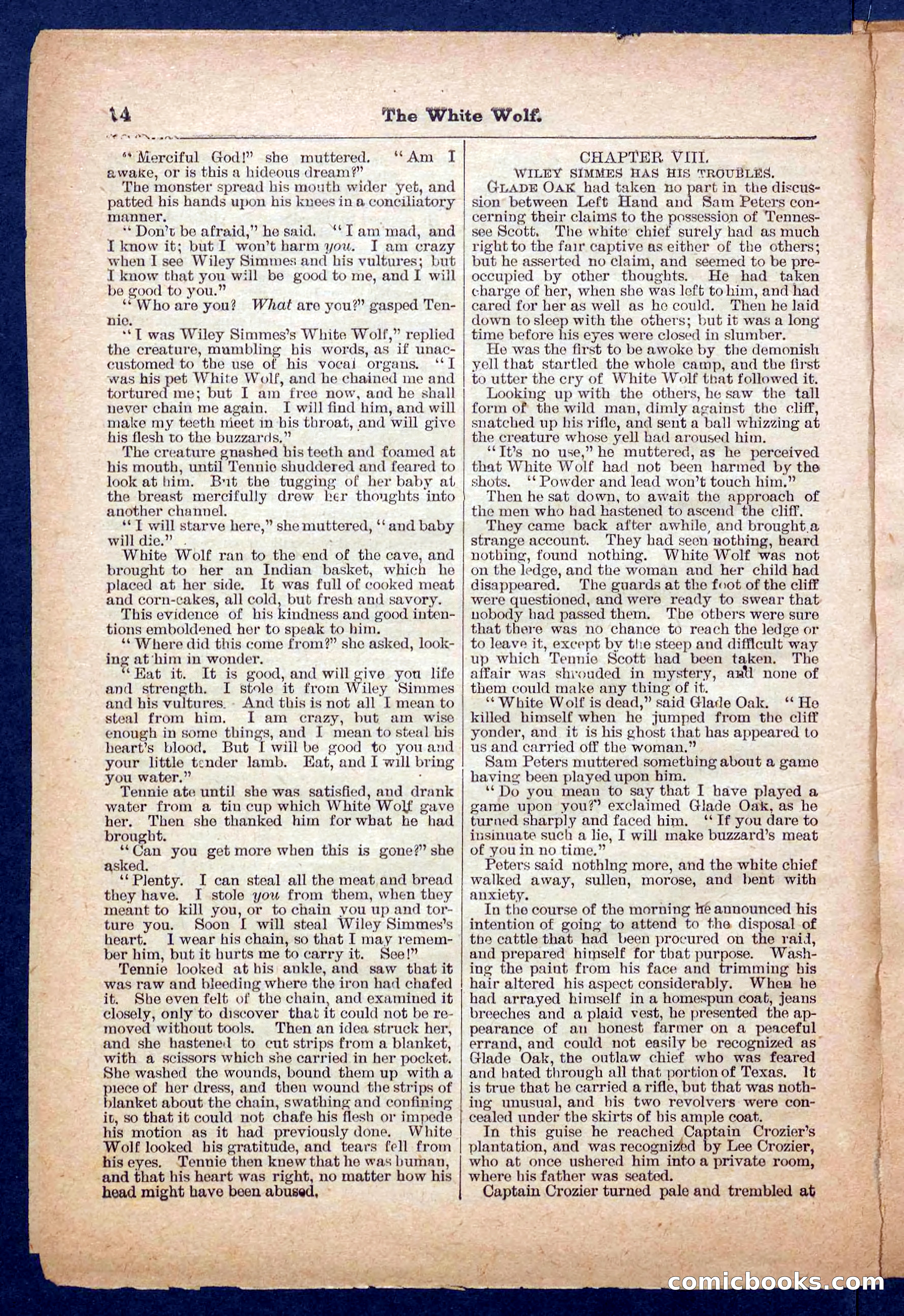 Jack Scott in Texas; or, The White Wolf — page 14 of 32