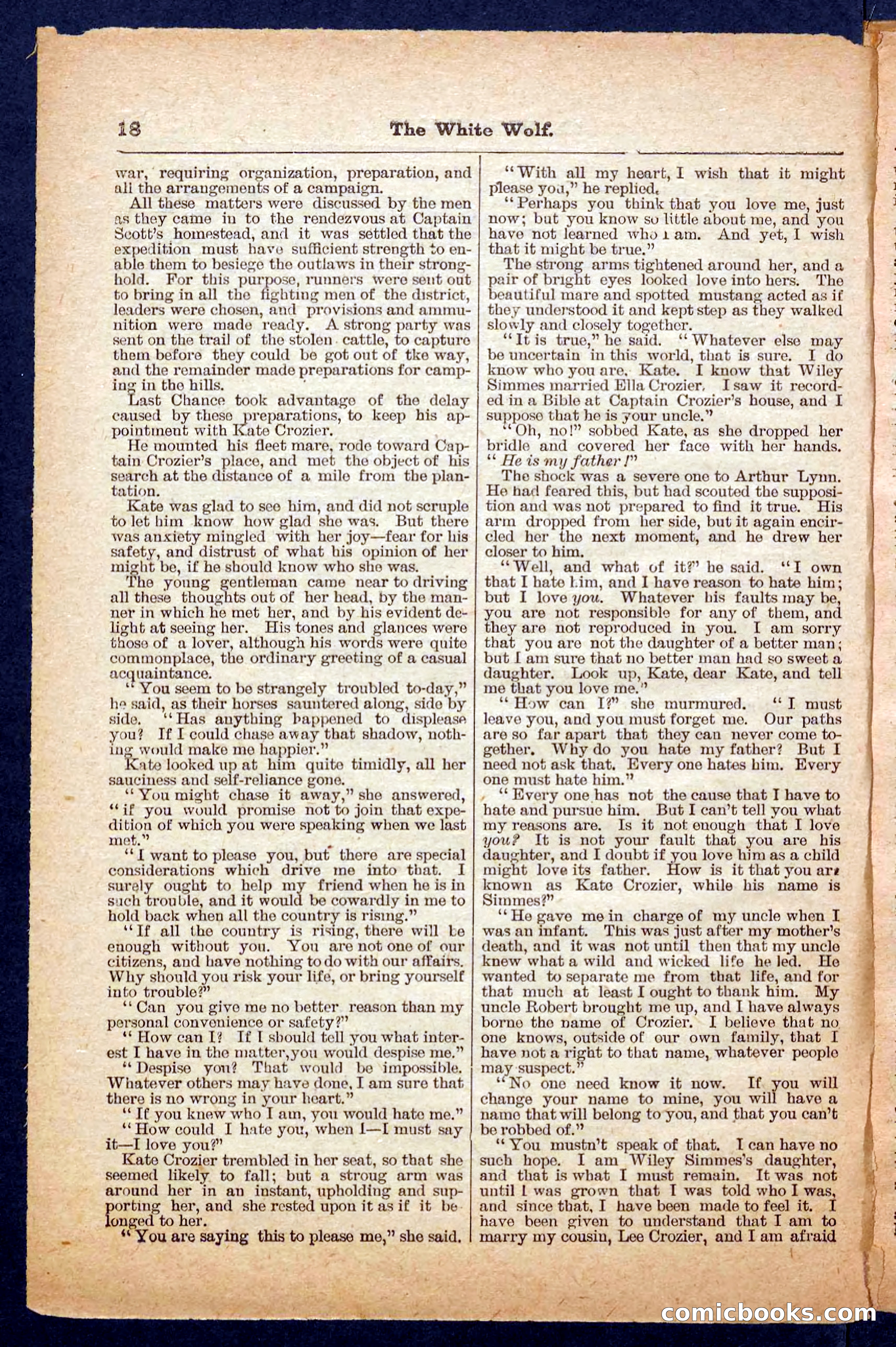 Jack Scott in Texas; or, The White Wolf — page 18 of 32