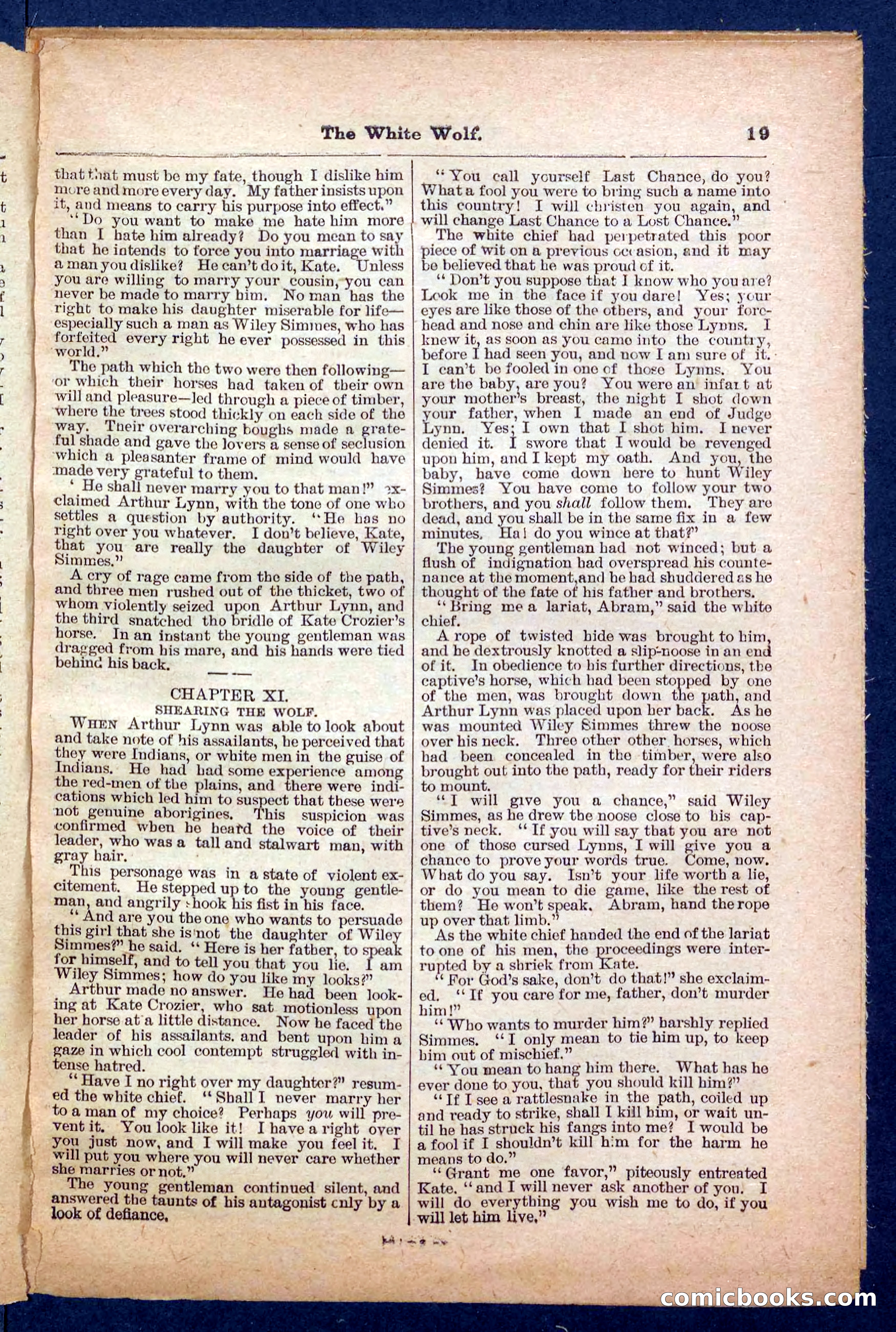 Jack Scott in Texas; or, The White Wolf — page 19 of 32