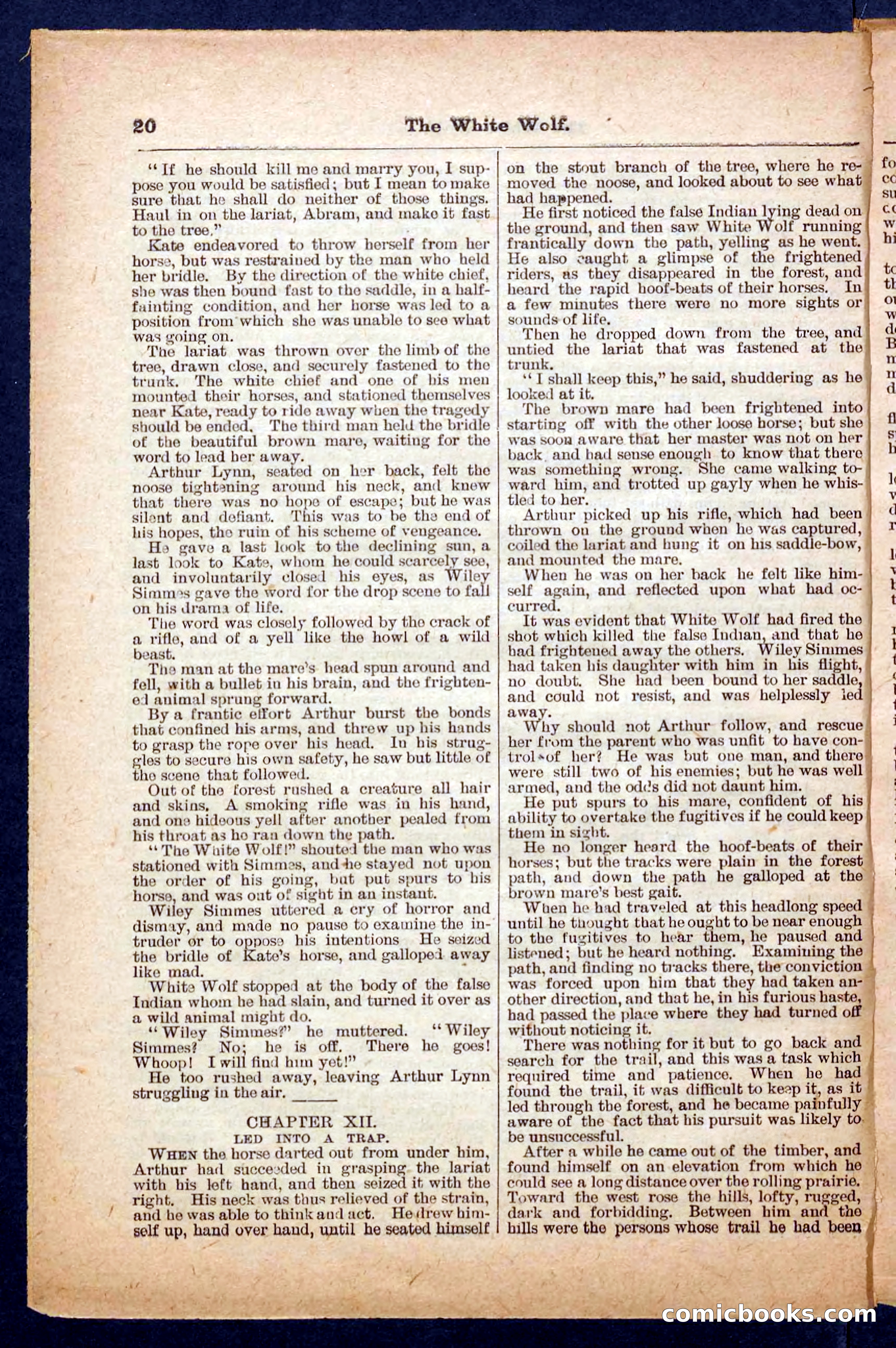 Jack Scott in Texas; or, The White Wolf — page 20 of 32