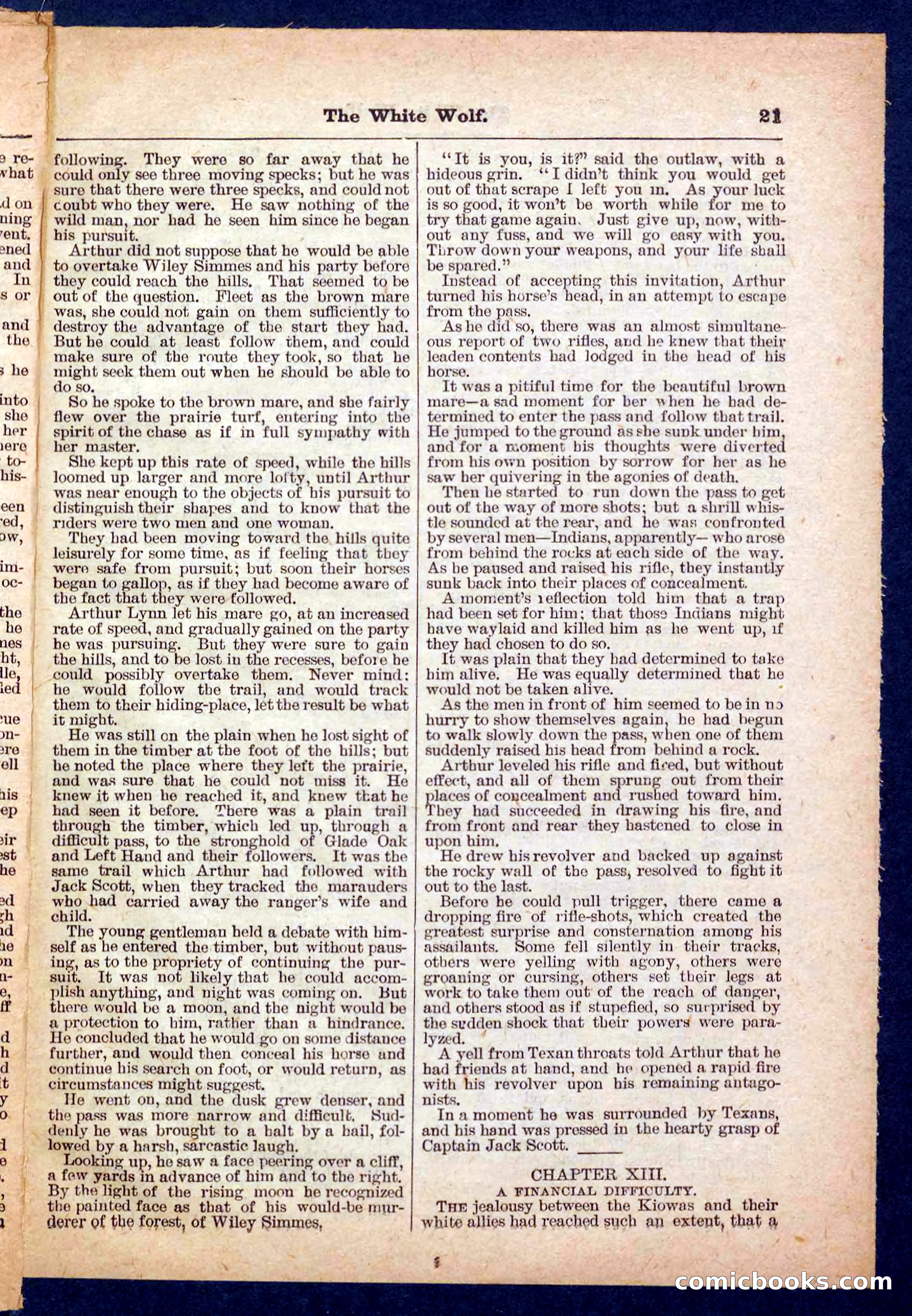 Jack Scott in Texas; or, The White Wolf — page 21 of 32