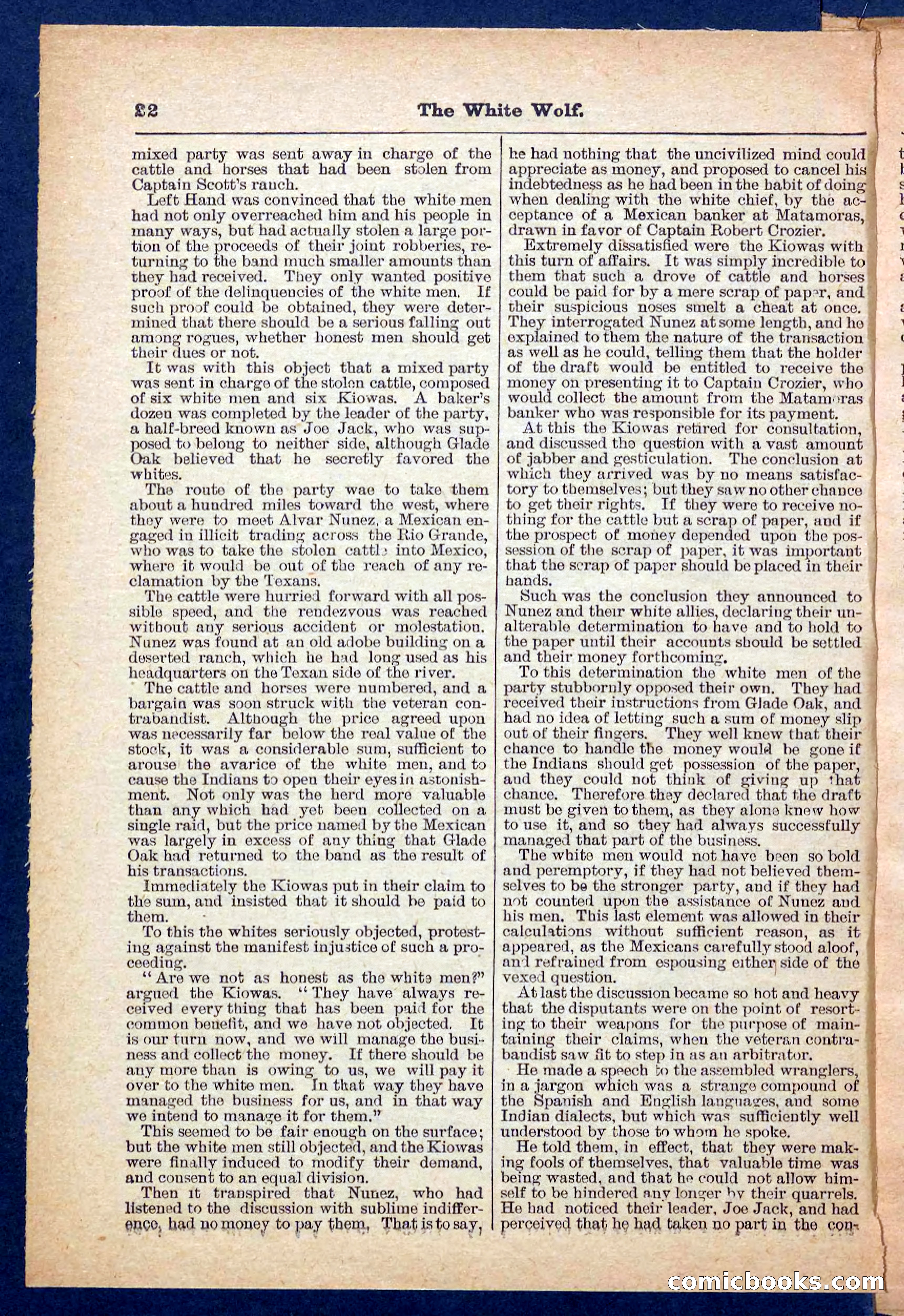 Jack Scott in Texas; or, The White Wolf — page 22 of 32