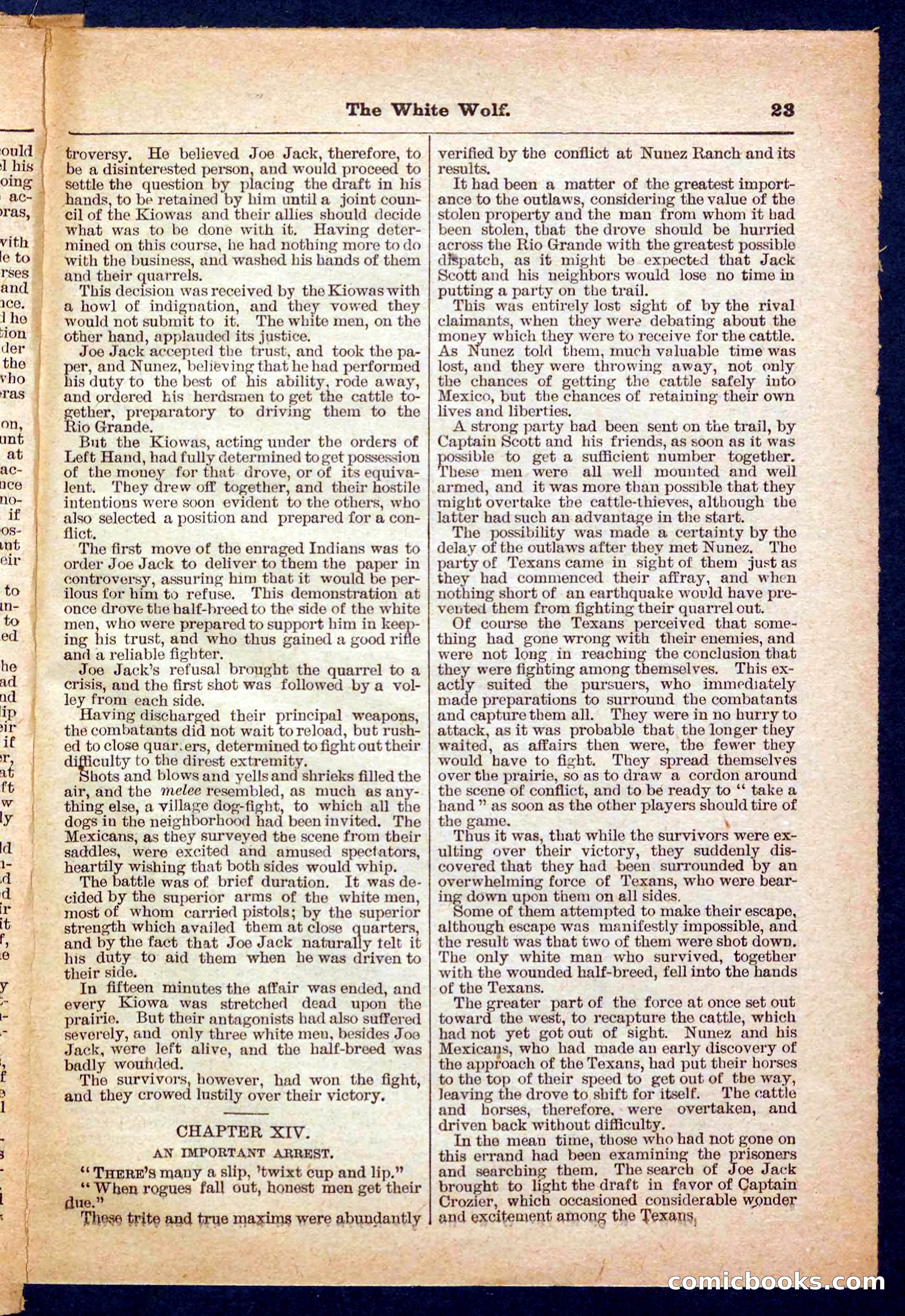 Jack Scott in Texas; or, The White Wolf — page 23 of 32