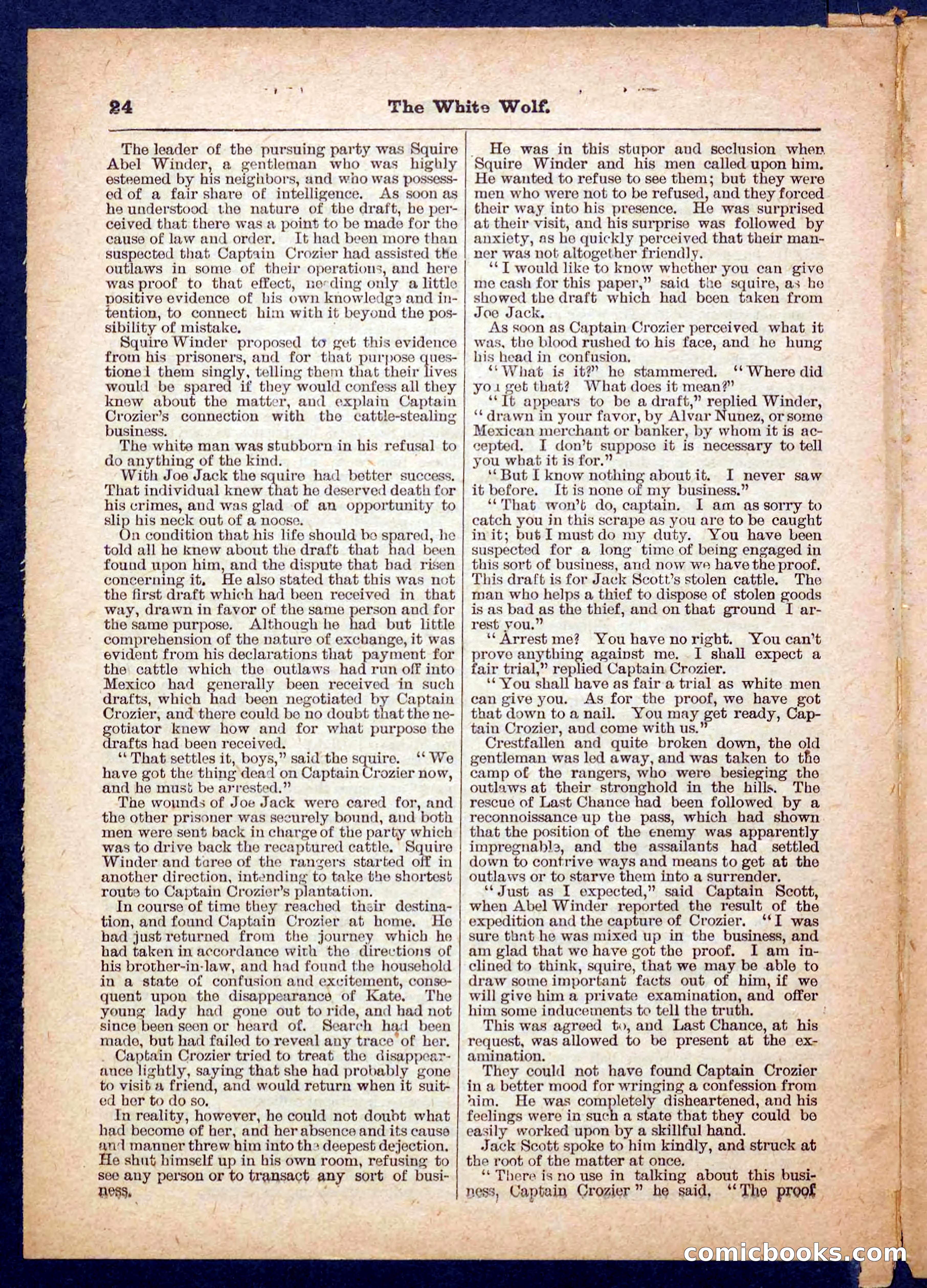 Jack Scott in Texas; or, The White Wolf — page 24 of 32